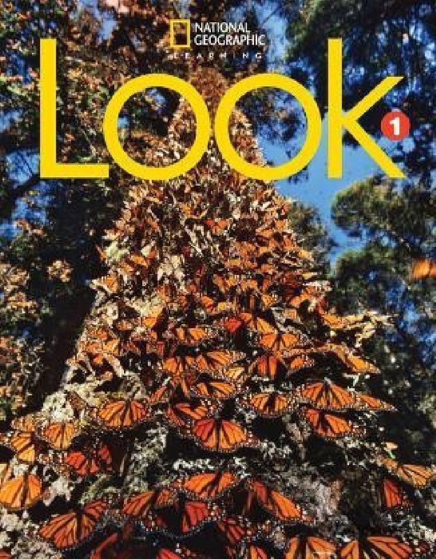 LOOK 1 SB ( + SPARK) AMER. ED