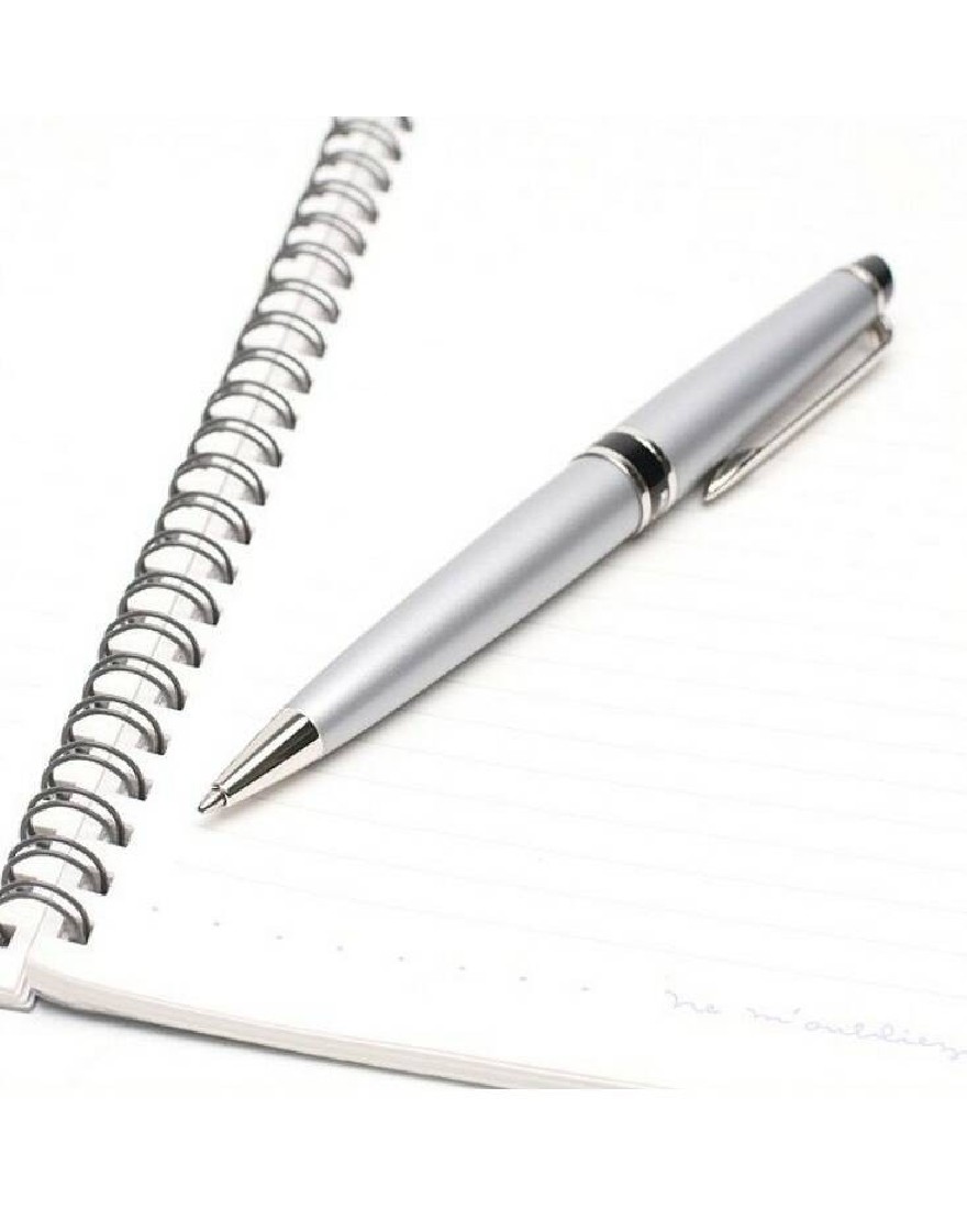 Waterman Expert Matte Chrome Ballpen