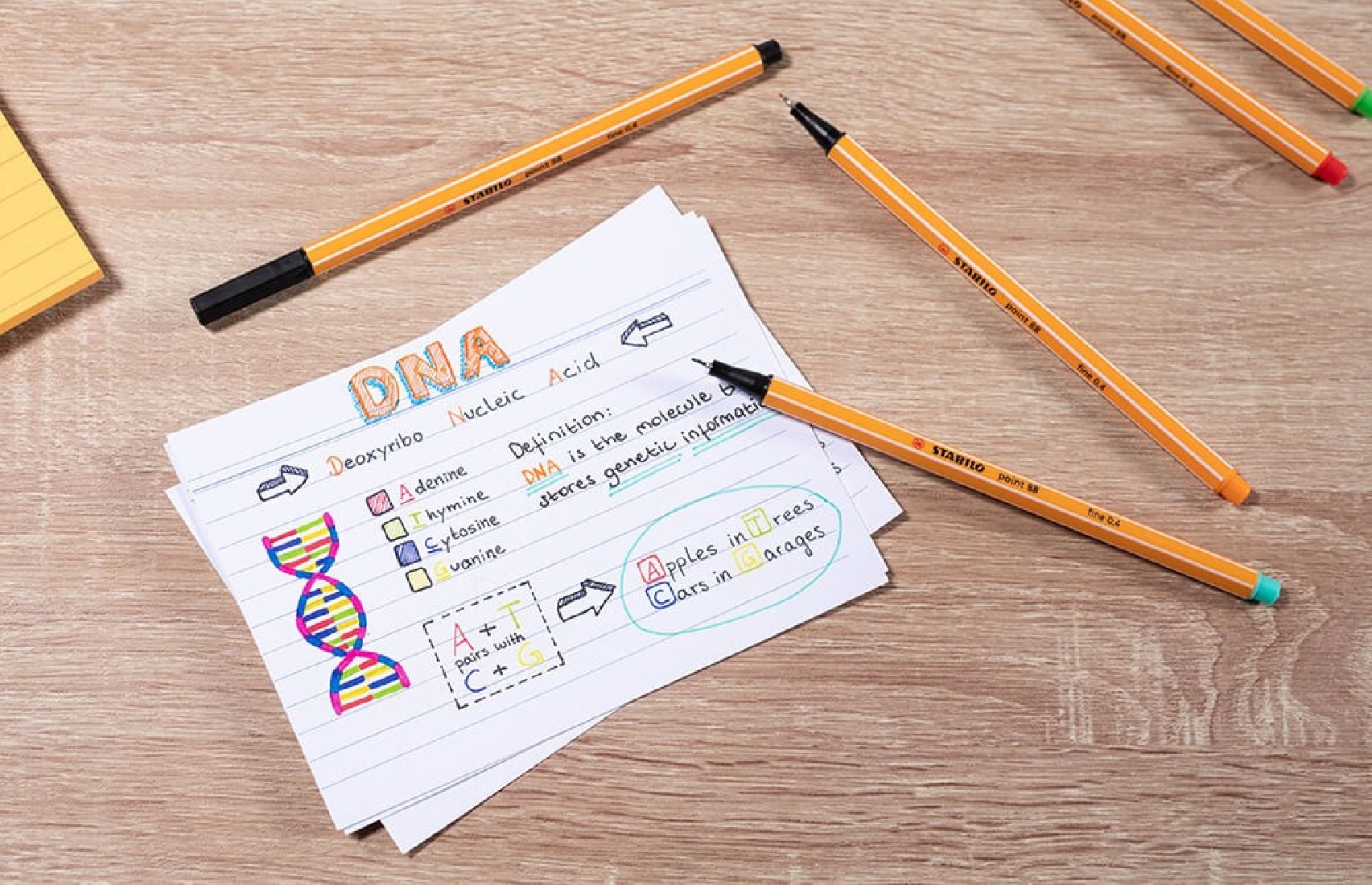 Μαρκαδόρος Point 88/024  Neon Yellow  Stabilo