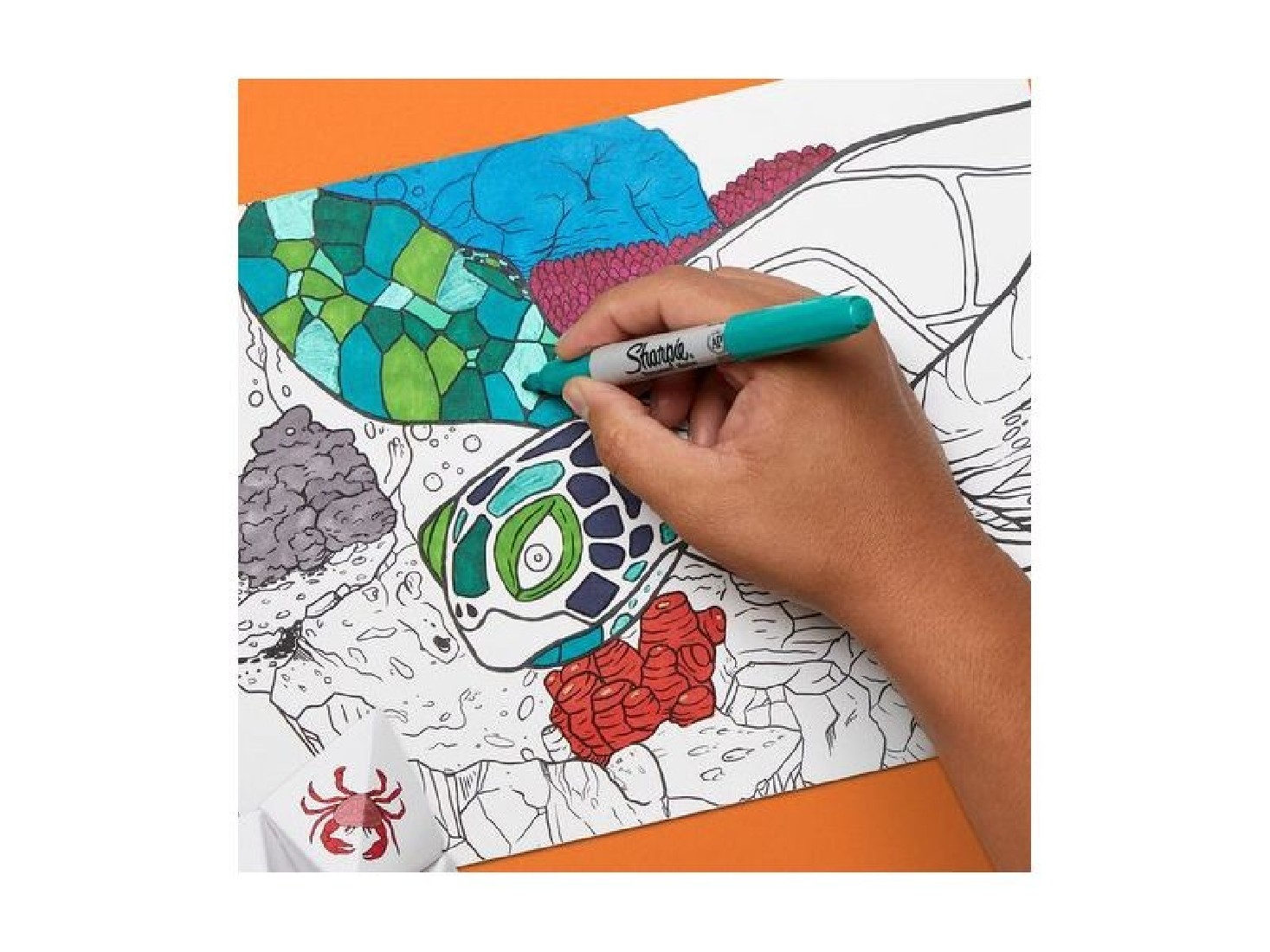 Blister 24 pcs. Permanent Markers Fine 2191250 Sharpie