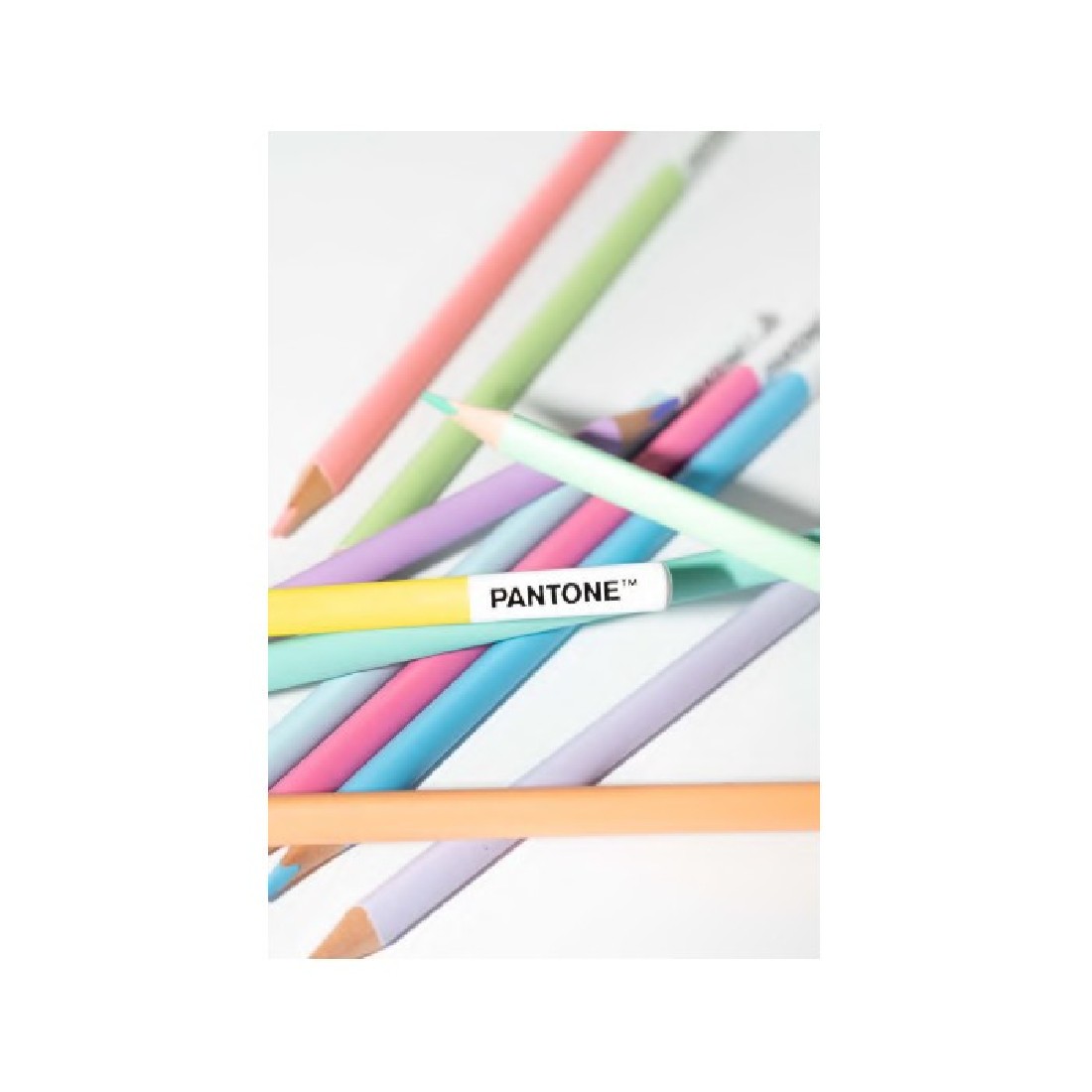 Ξυλομπογιές τριγωνικές σετ 12 τεμαχίων PT 84015583 Pantone