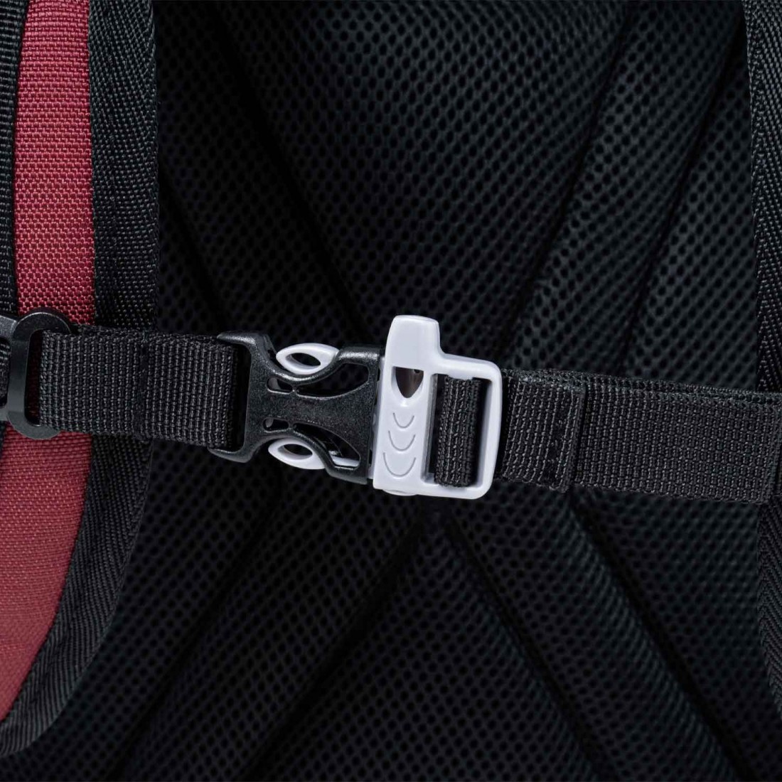 Σακίδιο πλάτης Genius Burgundy 901062-3300 Polo (2025)