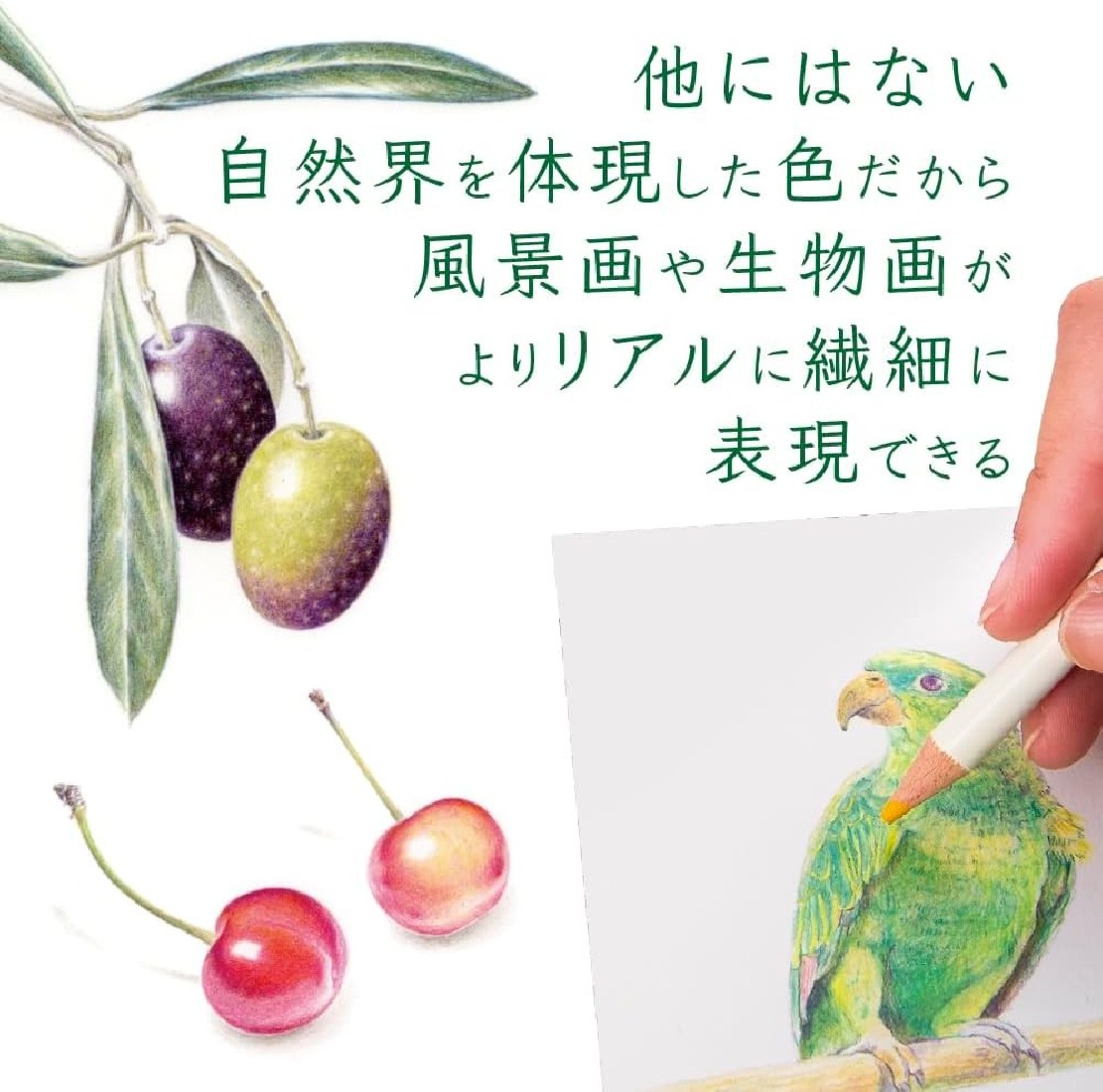 Tombow Irojiten CI-RTC-30C Colour Pencils (Box of 30)