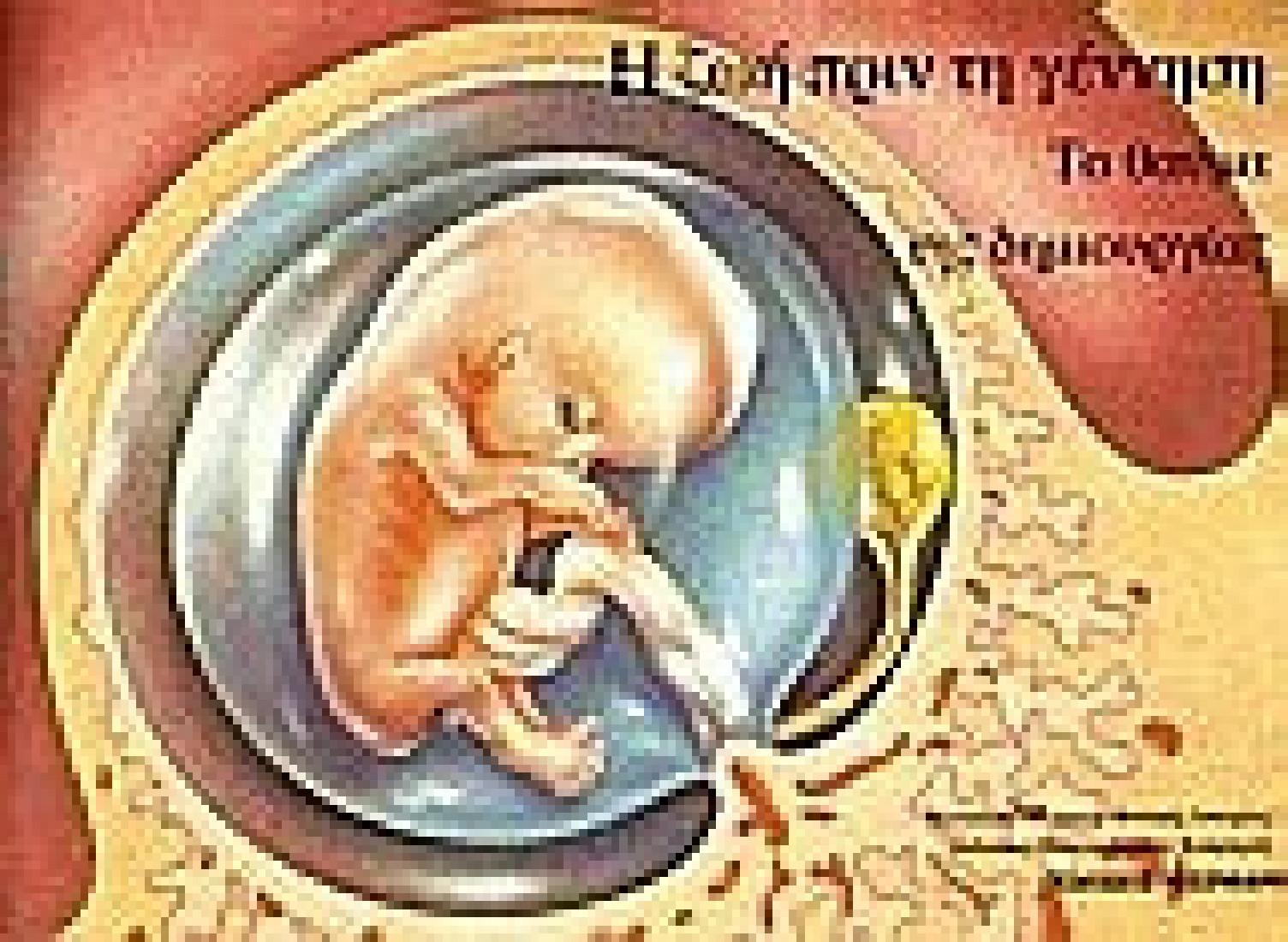 Η ζωή πριν τη γέννηση