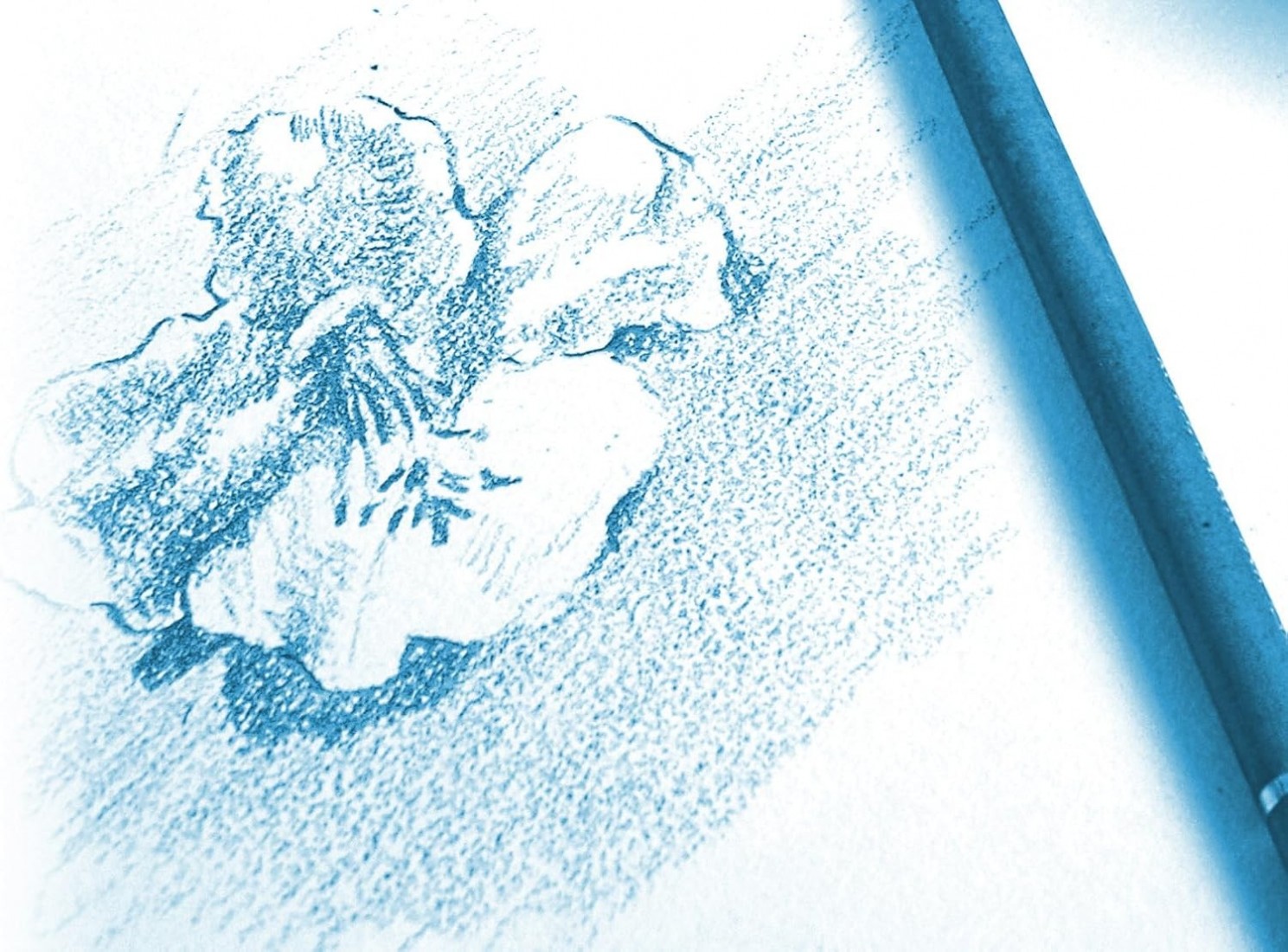 Clairefontaine A4 spiral Dessin a Grain 180gr 30sheets 96628C