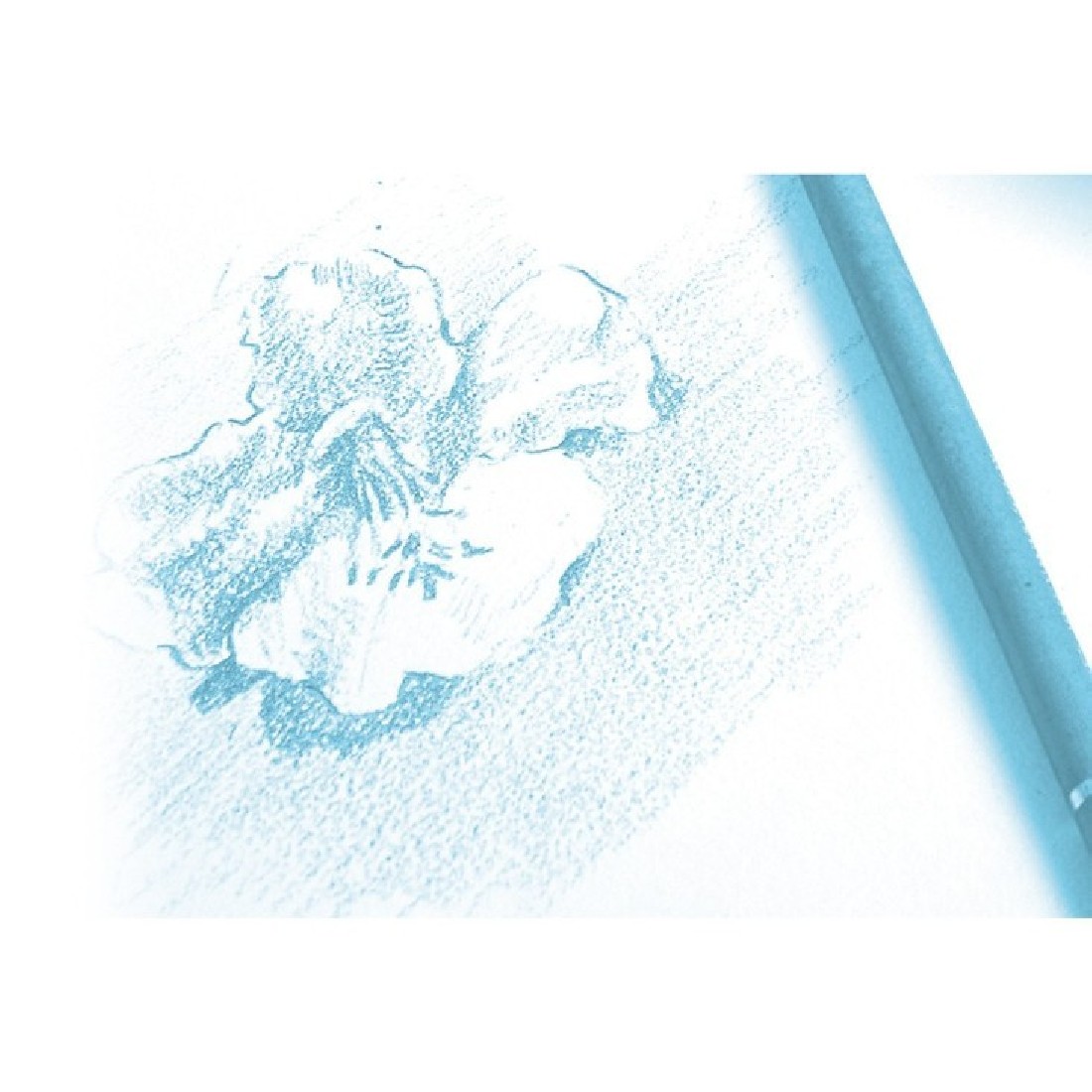 Clairefontaine A3 spiral Dessin a Grain 180gr 30sheets 96630