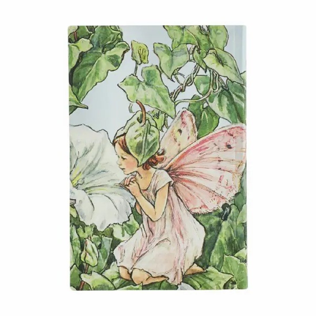 Paperblanks Ultra notebook 9x14 Flower Fairies, lined flexi cover