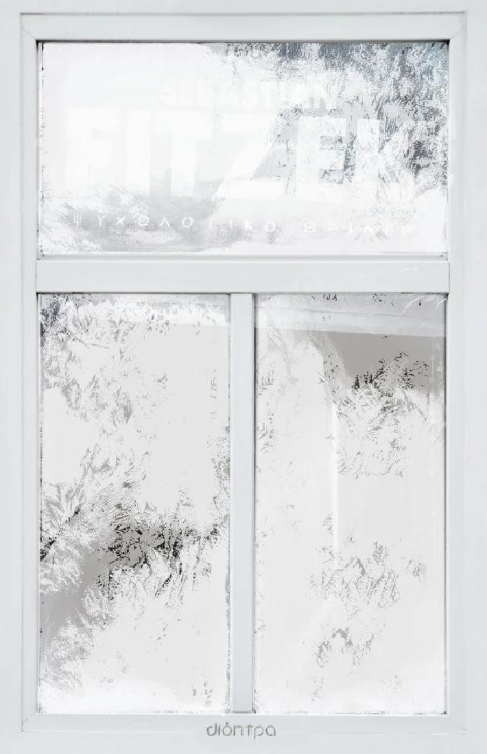 Το κορίτσι του ημερολογίου