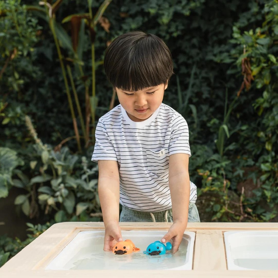 Παιχνίδι Bath Duck Racers 20316 Tiger Tribe