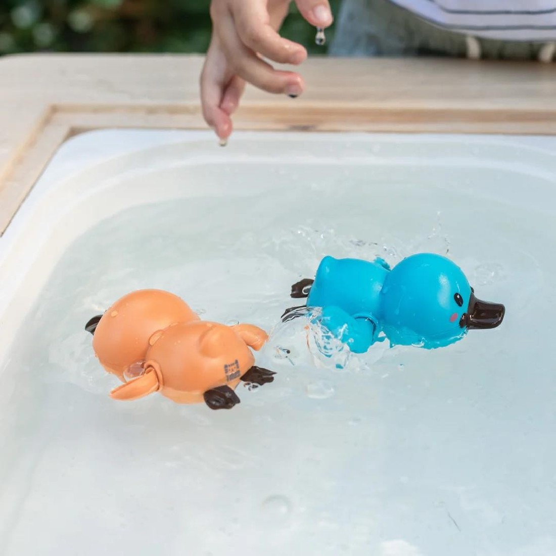 Παιχνίδι Bath Duck Racers 20316 Tiger Tribe