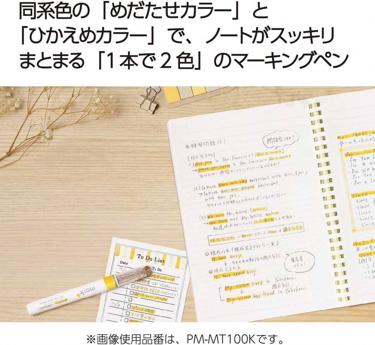 Kokuyo set 5pcs 2way  highlighters PM-MT100-5S2