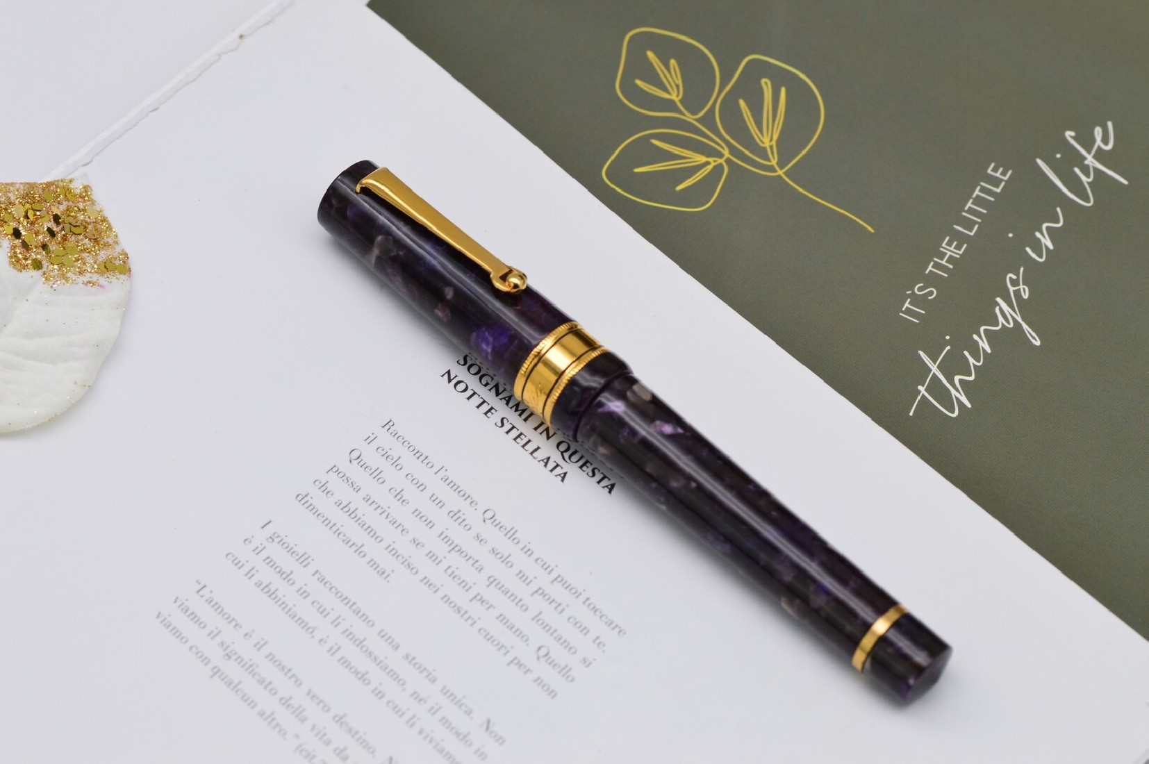 Santini Italia Libra Iris GT 18k Superflex nib piston filler pen with ebonite feeder