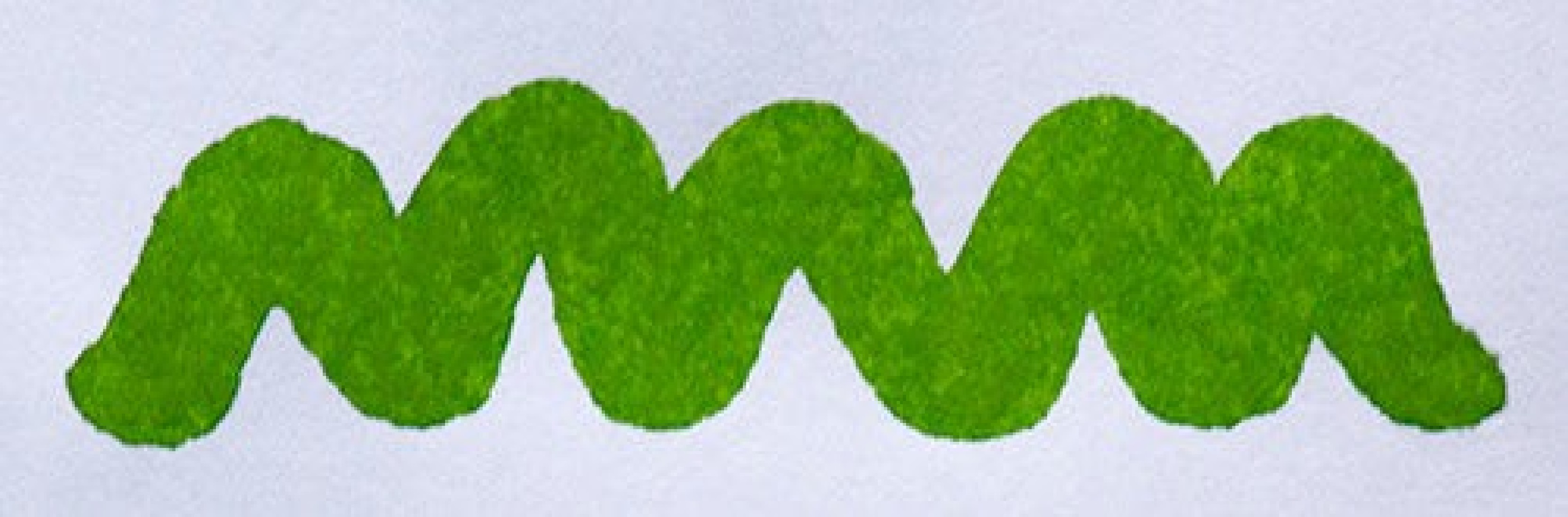 Diamine 80ml Kelly Green Fountain pen ink botle