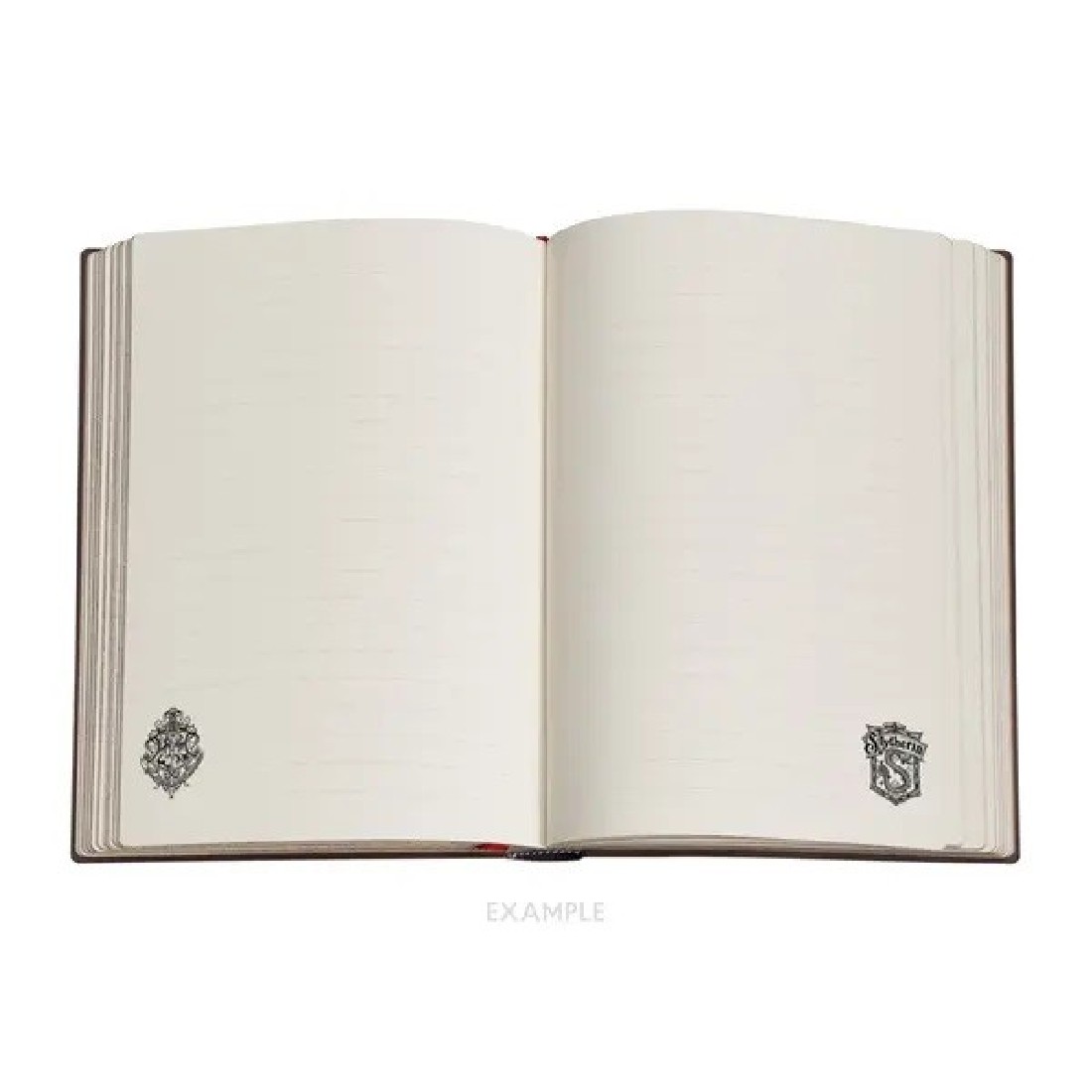 Paperblanks Notebook Harry Potter Slytherin Midi Lined