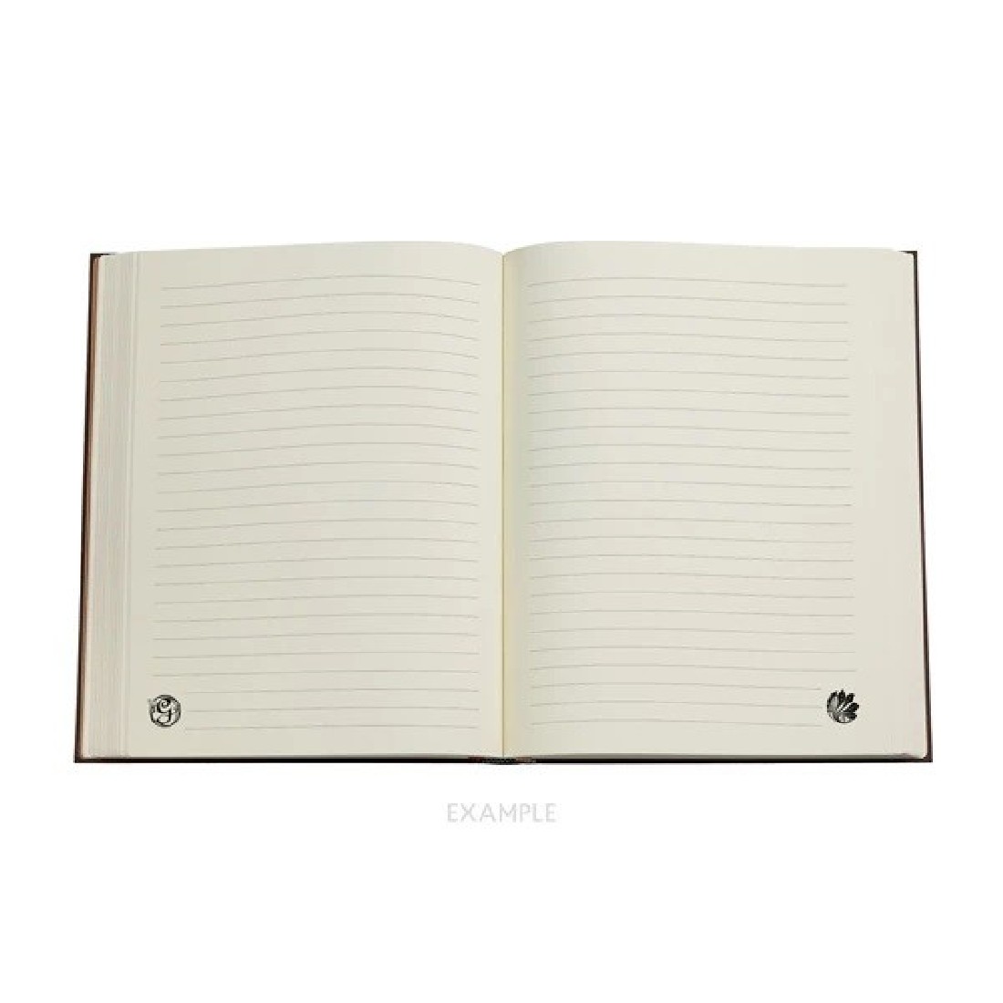 Paperblanks Notebook Wicked Midi Lined