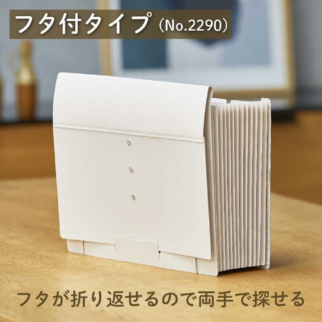 Document File 27Χ33cm  with elastic closure white 2290-W