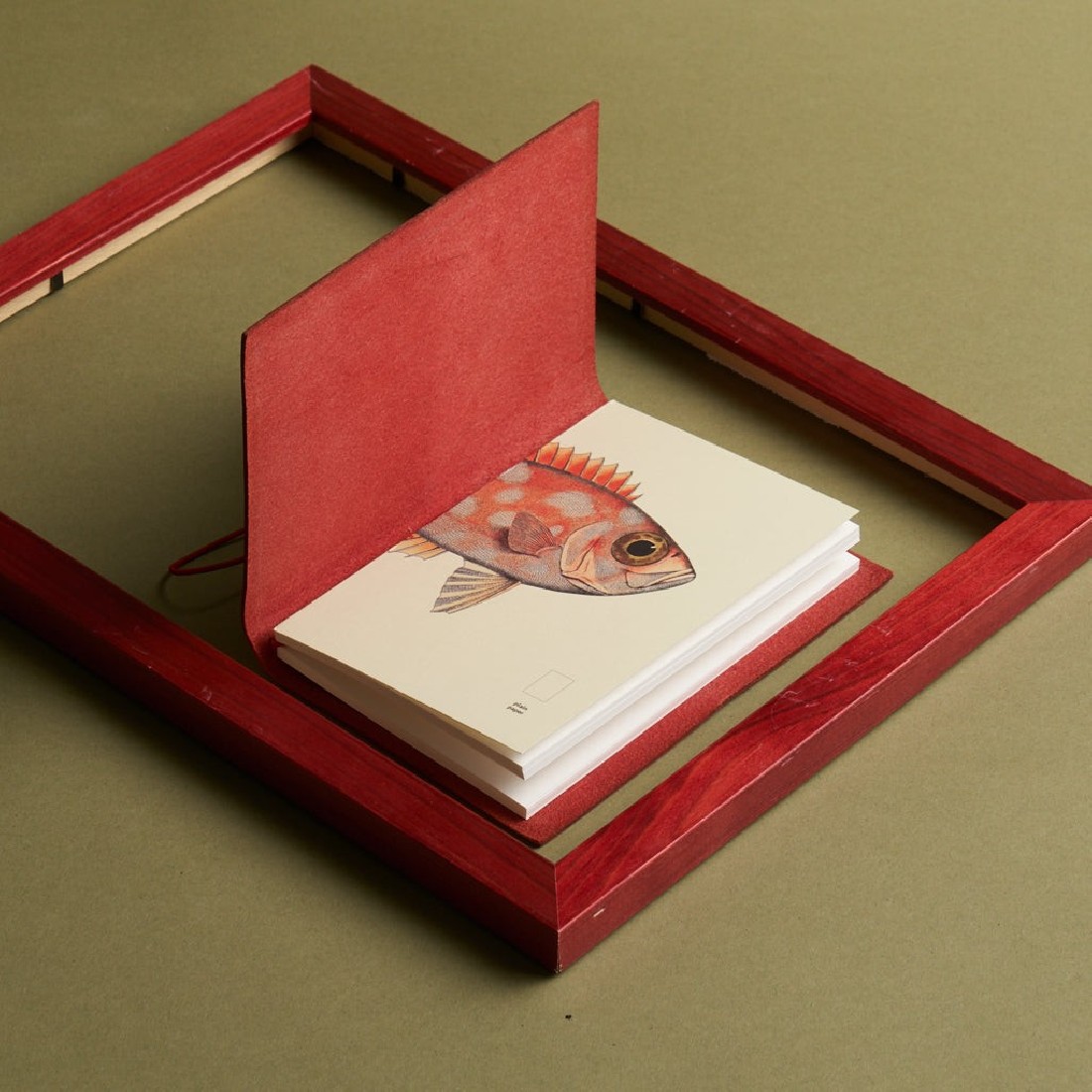 Paper Republic pocket 9,5x14cm book plain refill x The Dybdahl Co. The Clown Triggerfish (Balistoides conspicillum)