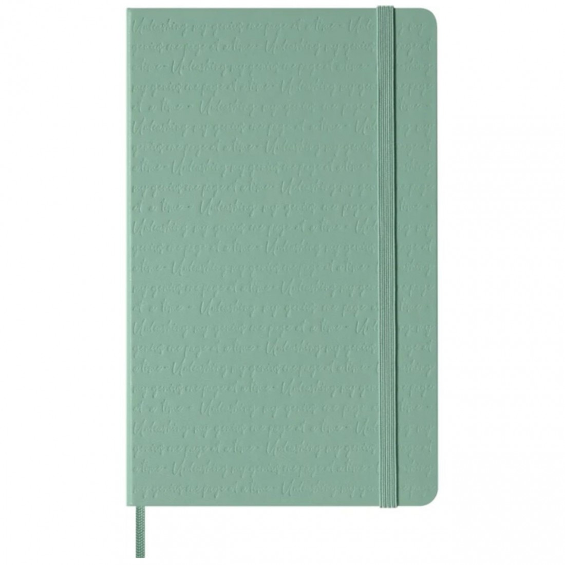 Moleskine notebook 13x21 large, Sage, hard cover, ruled, 240pages