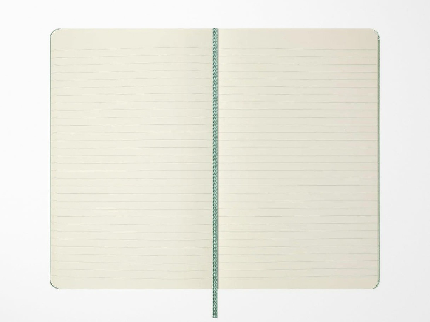 Moleskine notebook 13x21 large, Sage, hard cover, ruled, 240pages
