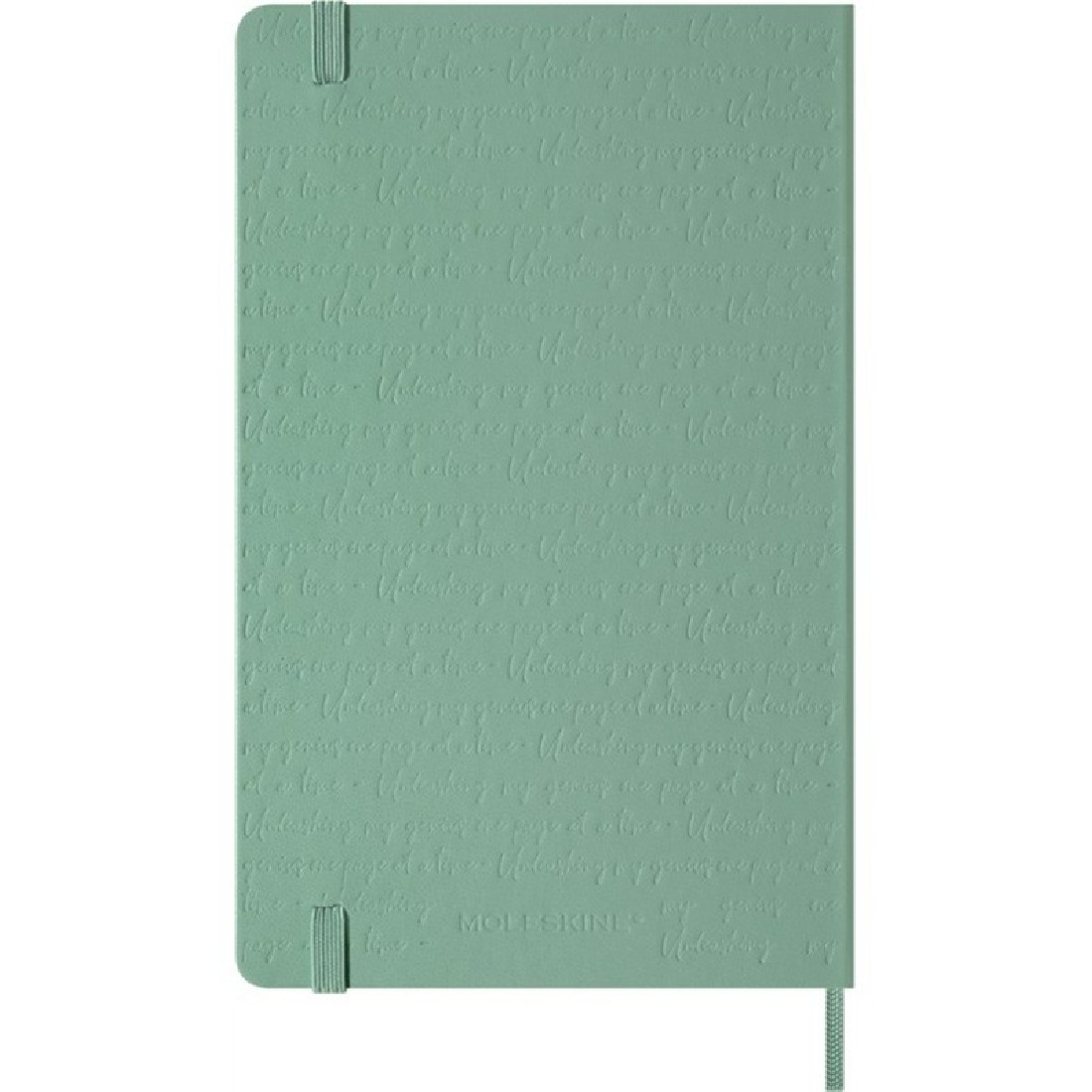 Moleskine notebook 13x21 large, Sage, hard cover, plain, 240pages