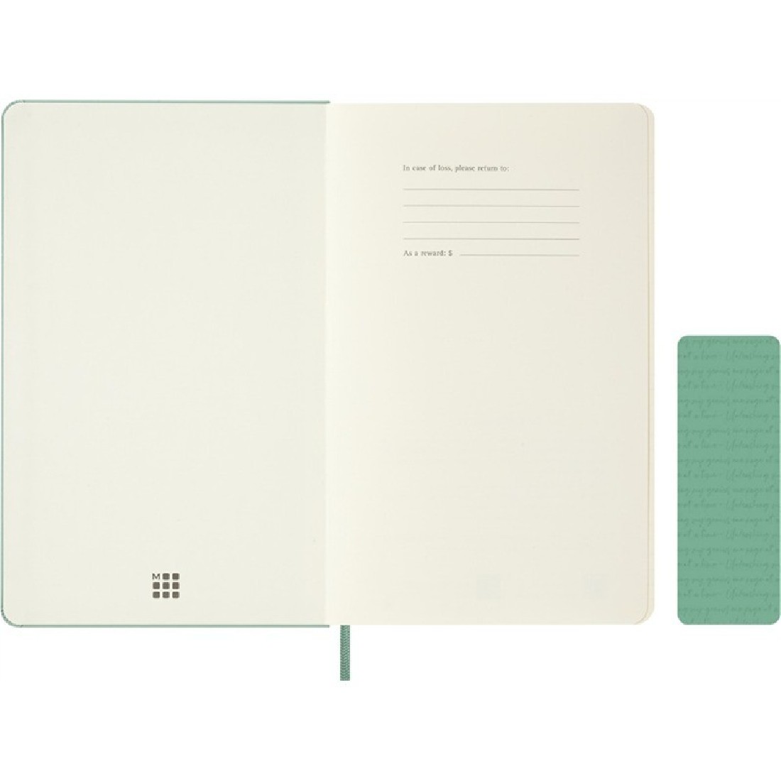 Moleskine notebook 13x21 large, Sage, hard cover, plain, 240pages