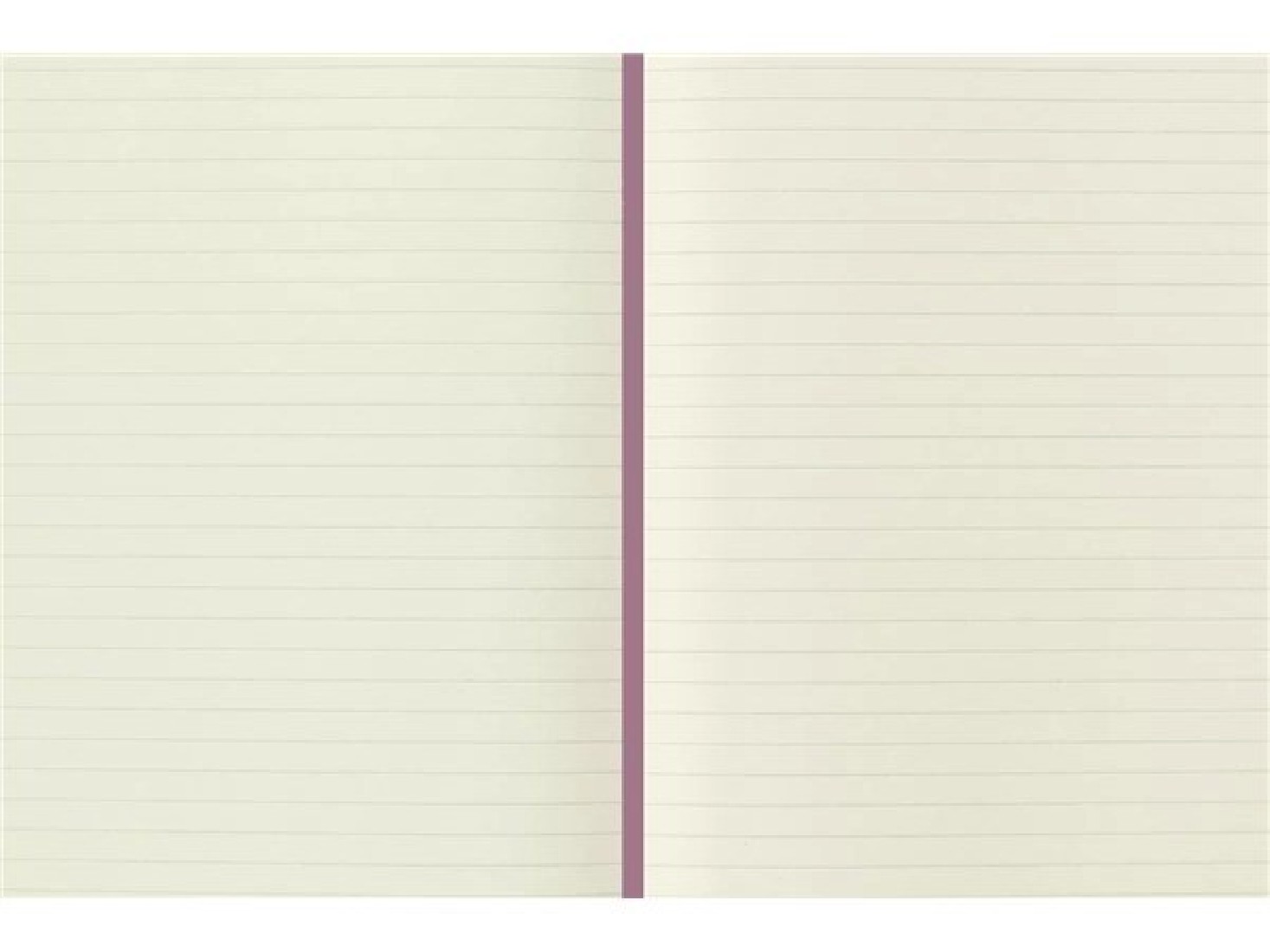 Moleskine notebook 13x21 large, Majestic, hard cover, ruled, 240pages