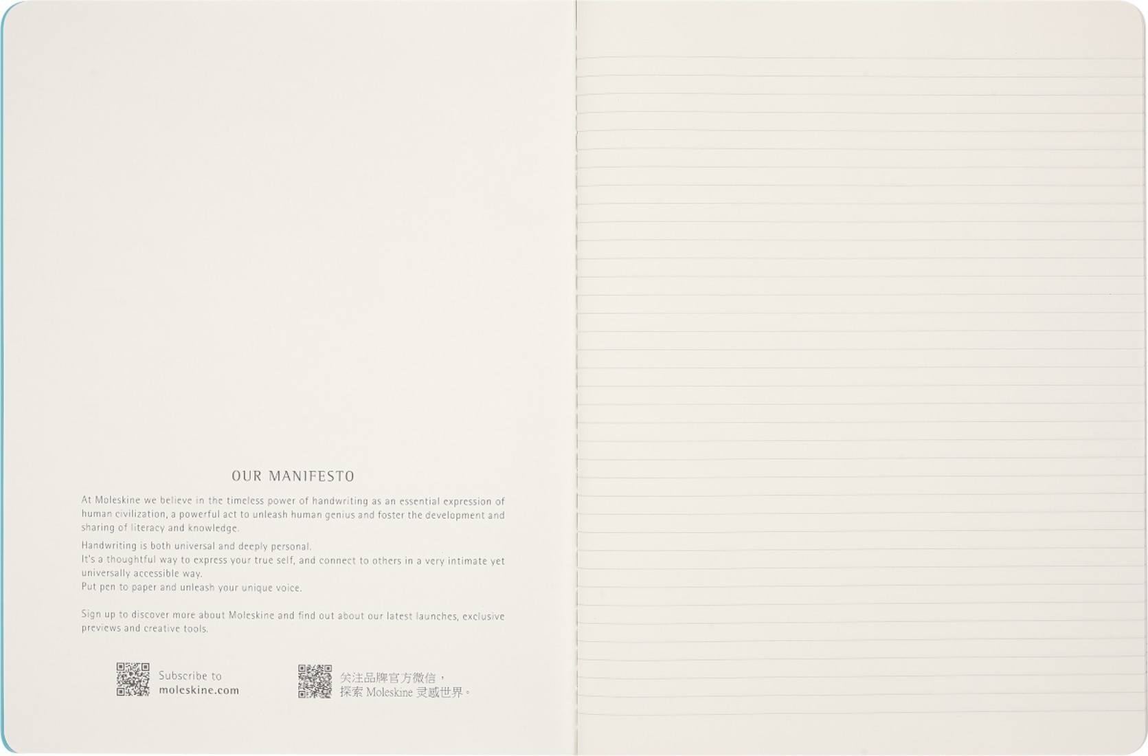 Moleskine Impressions of Impressionism Cahier Journal, XL 19X25, ruled