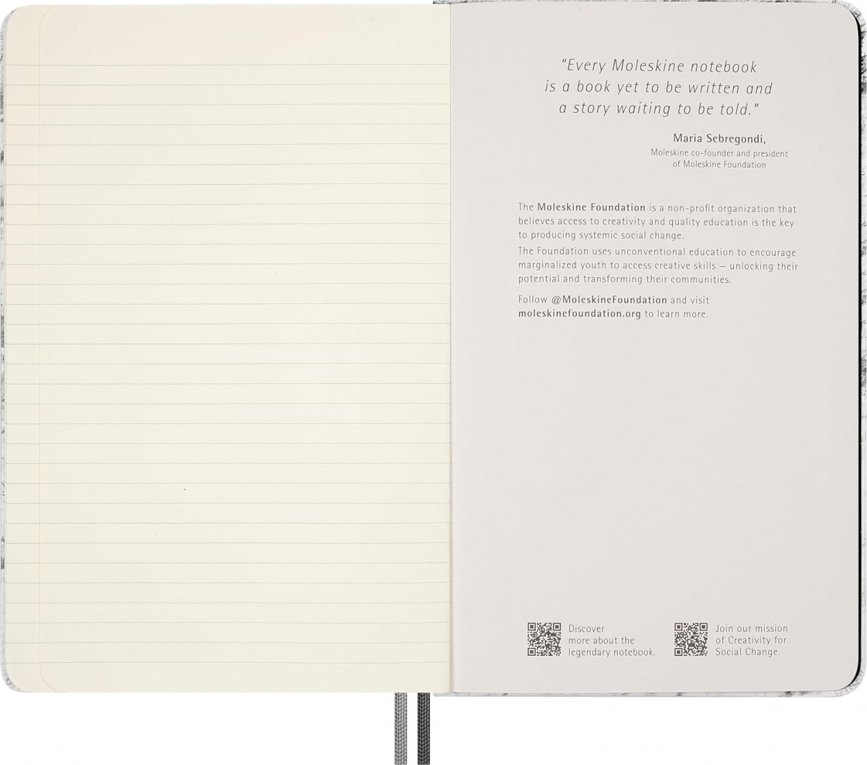 Moleskine Limited Edition NASA-inspired Moon surface Notebook, Hard Cover, Large, Ruled, Light Grey, 176 pages