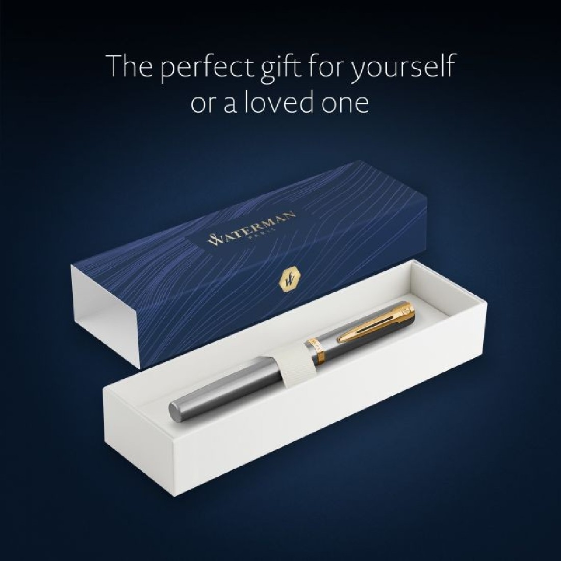 Waterman Impression stainless steel gt fountain pen