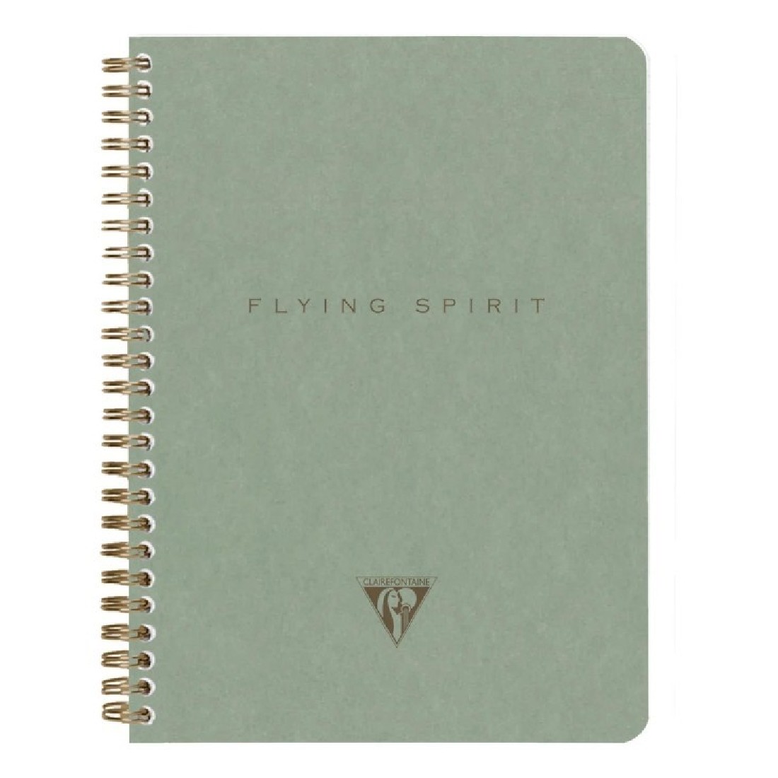 Clairefontaine Rhodia Flying spirit green notebook A5 14,8x21cm 120 pages 90gsm 107566