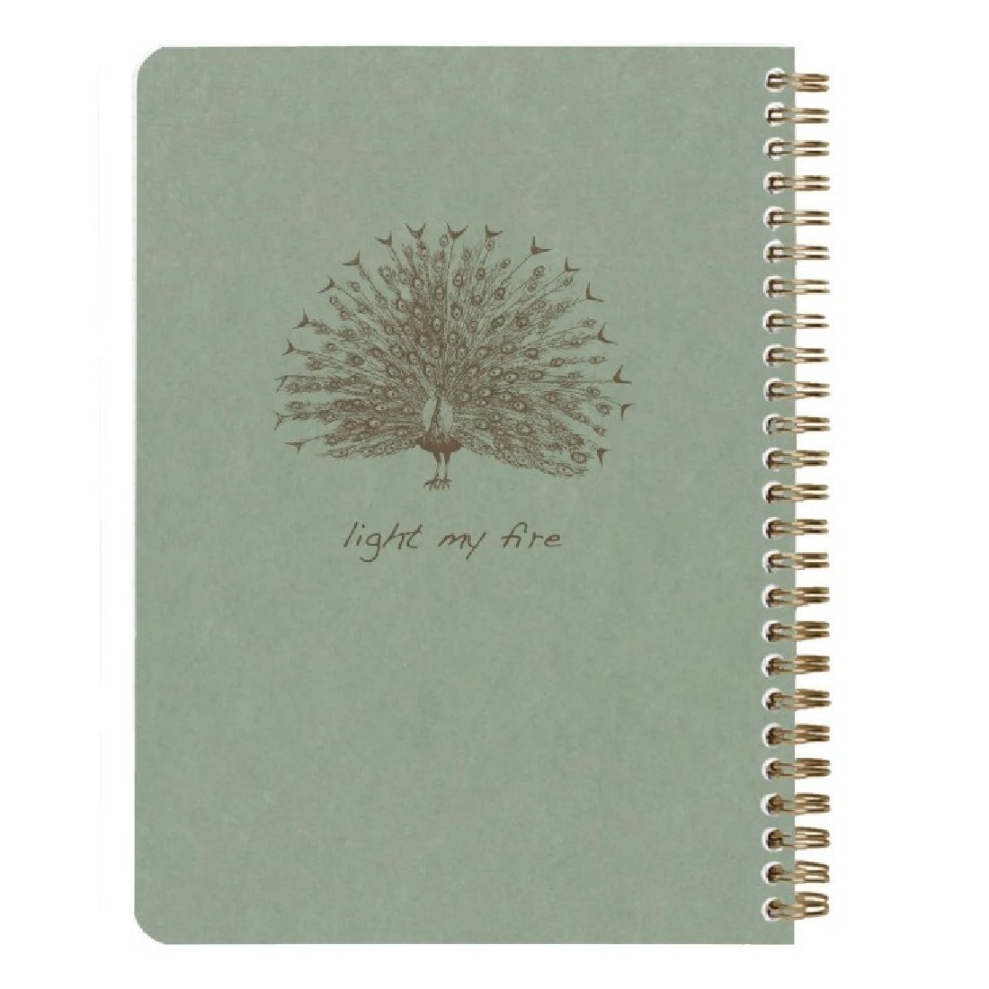 Clairefontaine Rhodia Flying spirit green notebook A5 14,8x21cm 120 pages 90gsm 107566