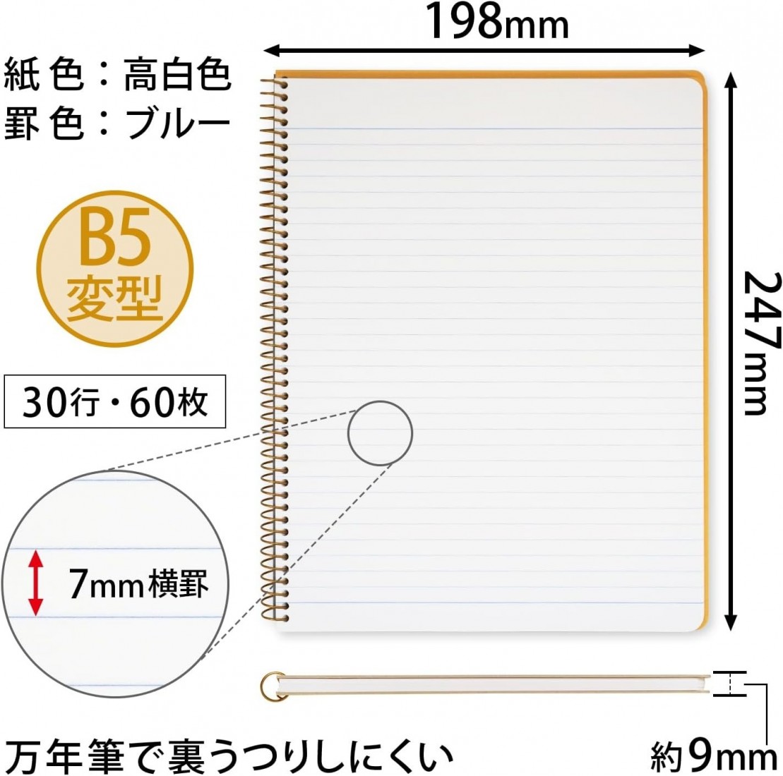 Kyoikuto Royal College Notebook Cambridge A Ruled B5 P907