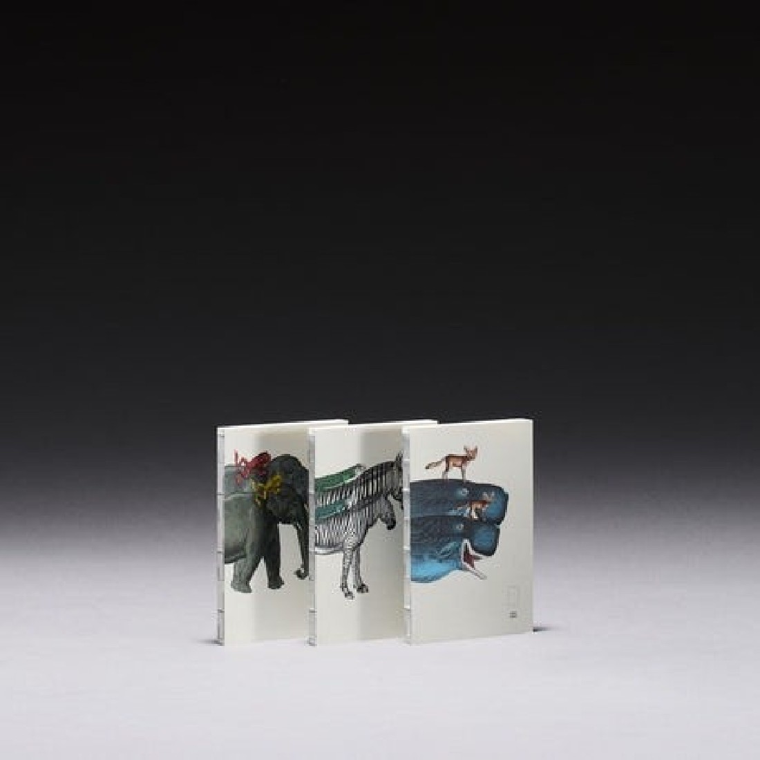 Paper Republic Animal Companions Whales Book Refil Pocket Plain