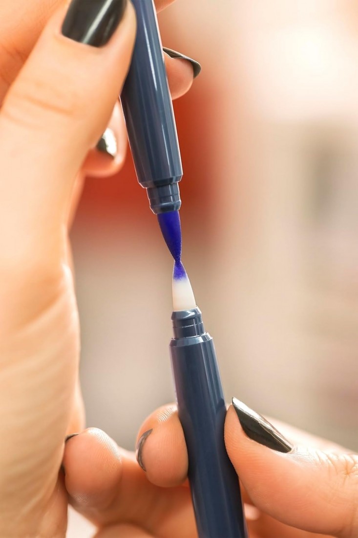 Faber Castell Goldfaber Sketch Manga Marker Pens with Brush Tip and Fineliner Tip (Pack of 6) 164809