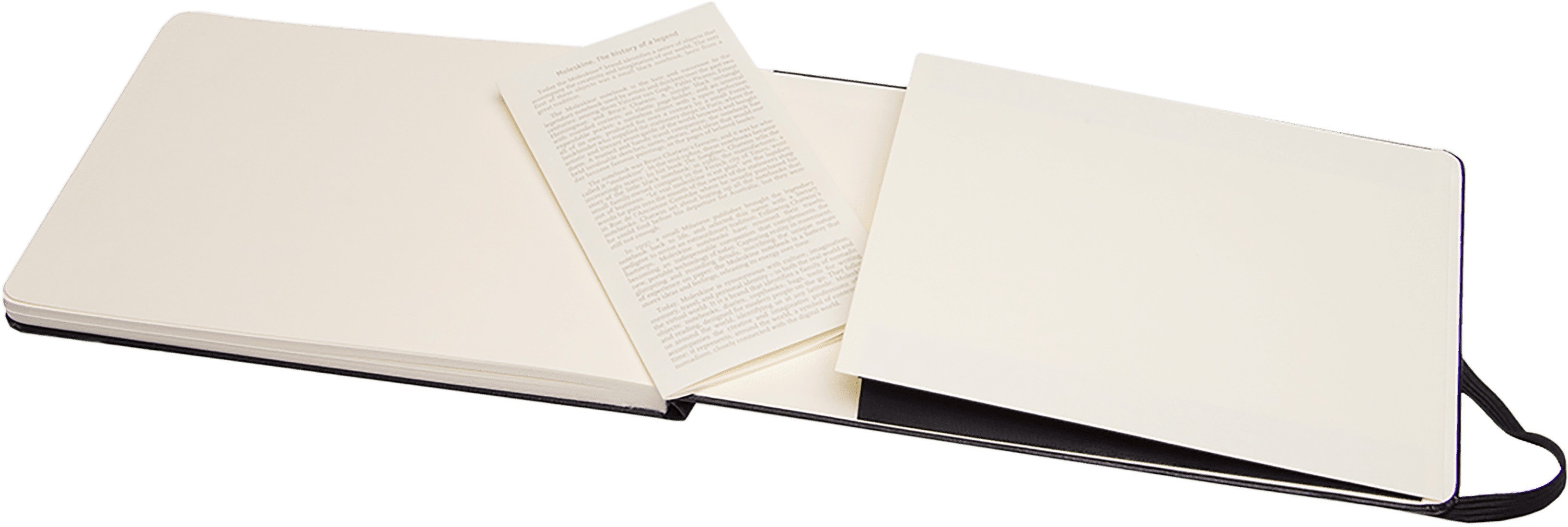 Moleskine Notebook Large 13x21 Watercolour Album Black