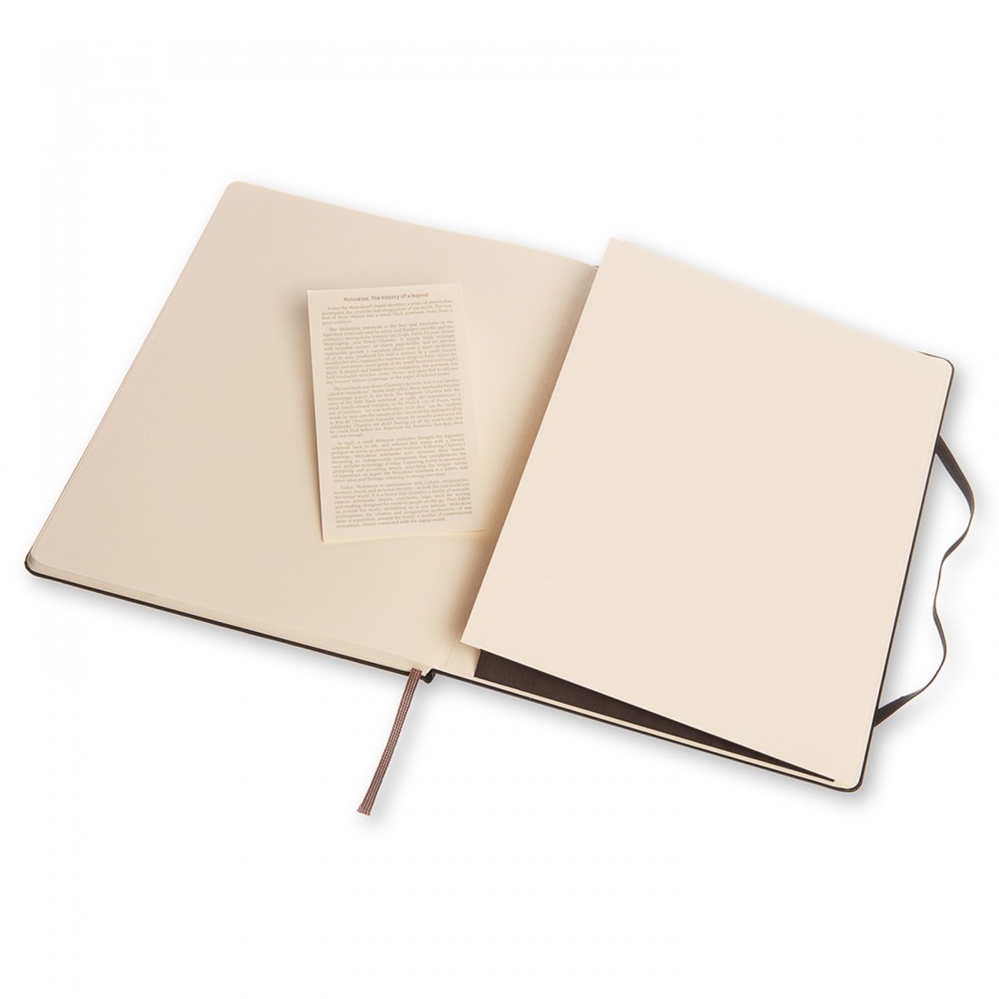 Moleskine plain notebook hard cover extra large 19x25 black