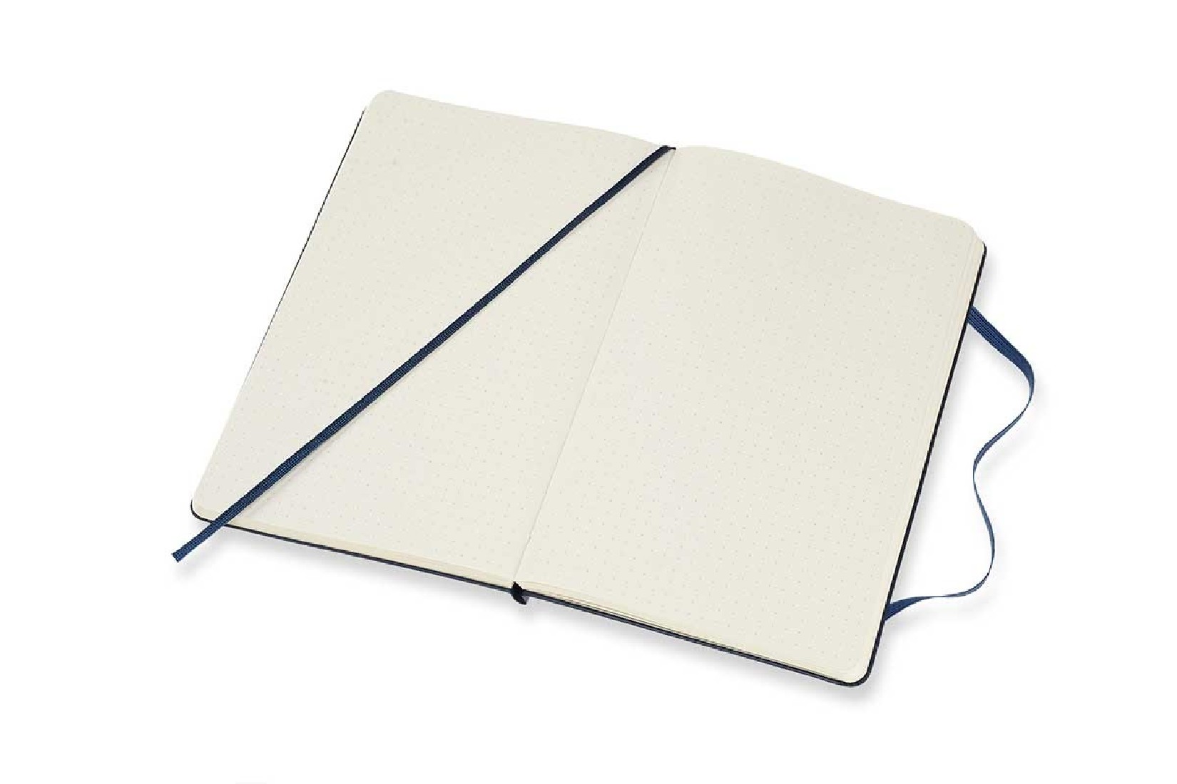 Notebook Large 13x21 Dotted Sapphire Blue Hard Cover Moleskine M