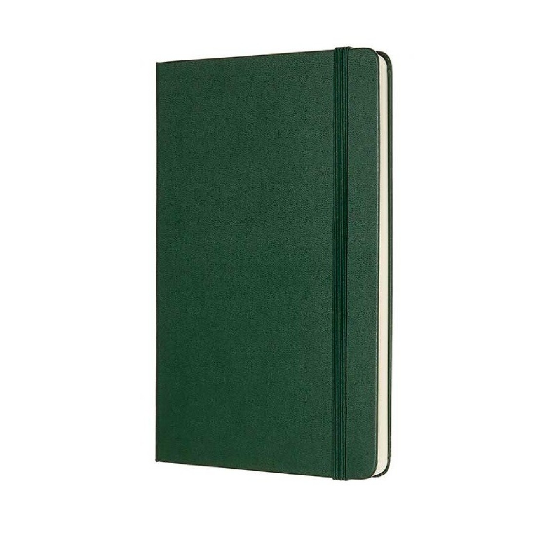 Notebook Large 13x21 Dotted Myrtle Green Hard Cover Moleskine M