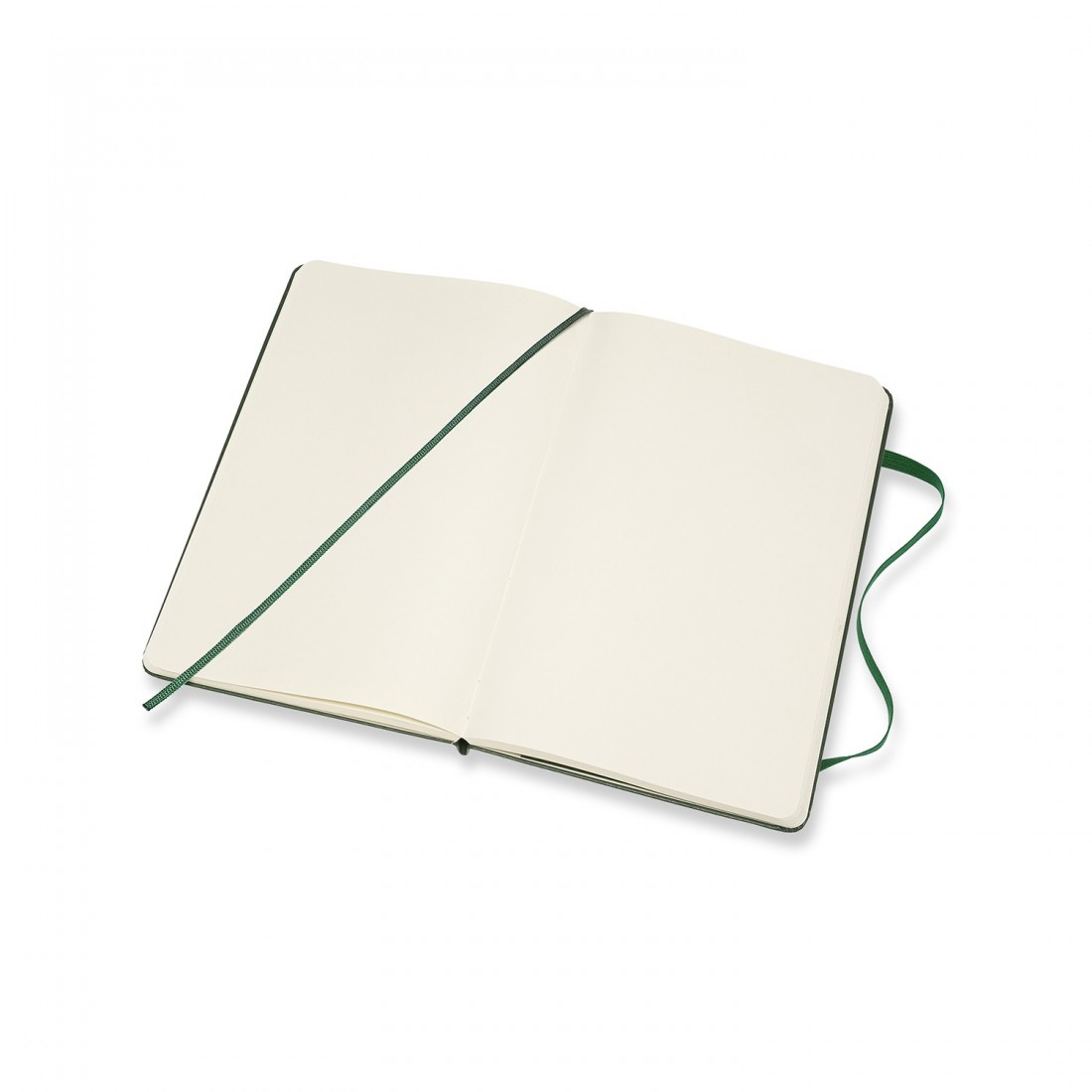 Moleskine notebook classic Myrtle Green Large 13x21 Hard cover Plain