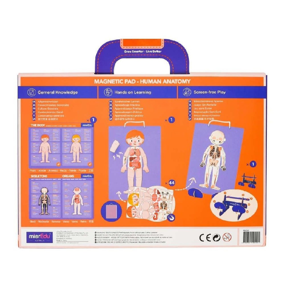 Μαγνητικό Pad Human Anatomy 00429 Mier Edu