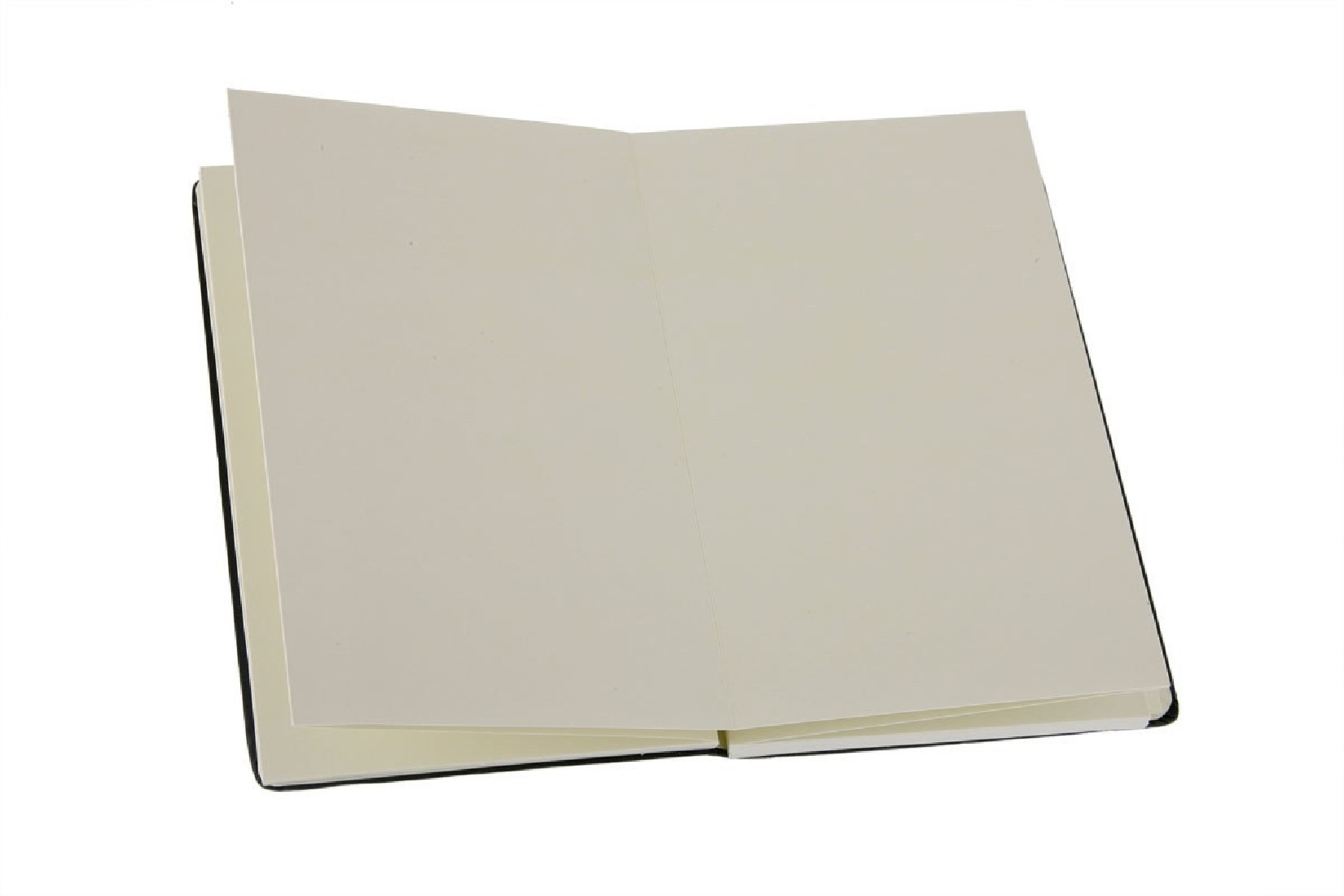 Notebook Large 13x21 Ruled Red Hard Cover Moleskine M