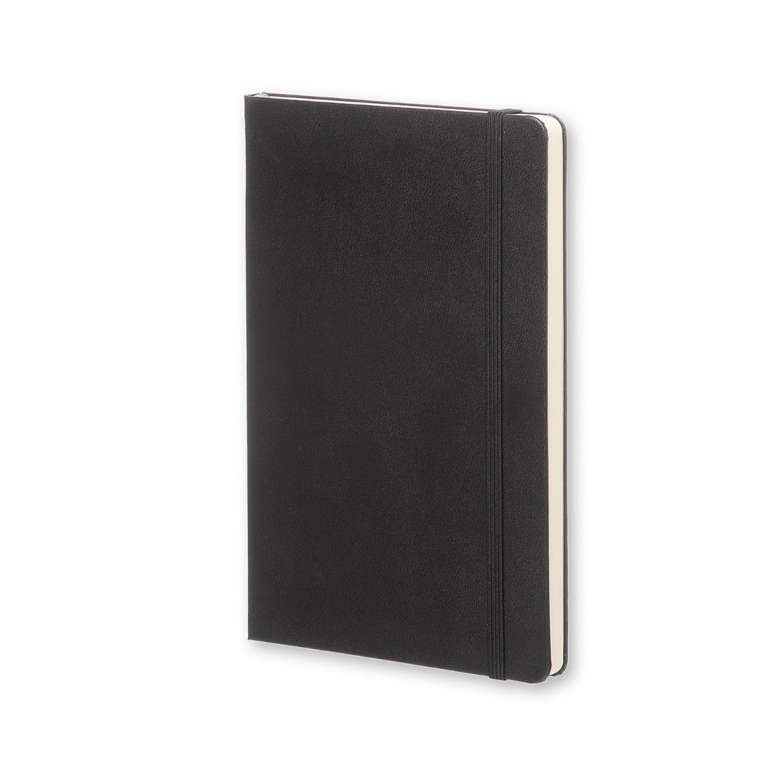 Notebook Large 13x21 Dotted Black Hard Cover  Moleskine