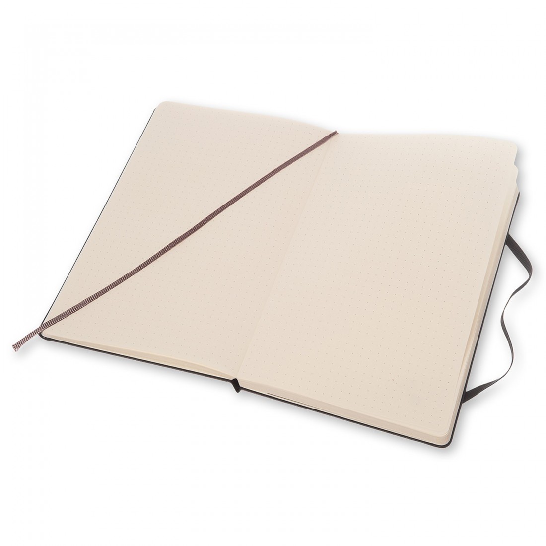 Notebook Large 13x21 Dotted Black Hard Cover  Moleskine