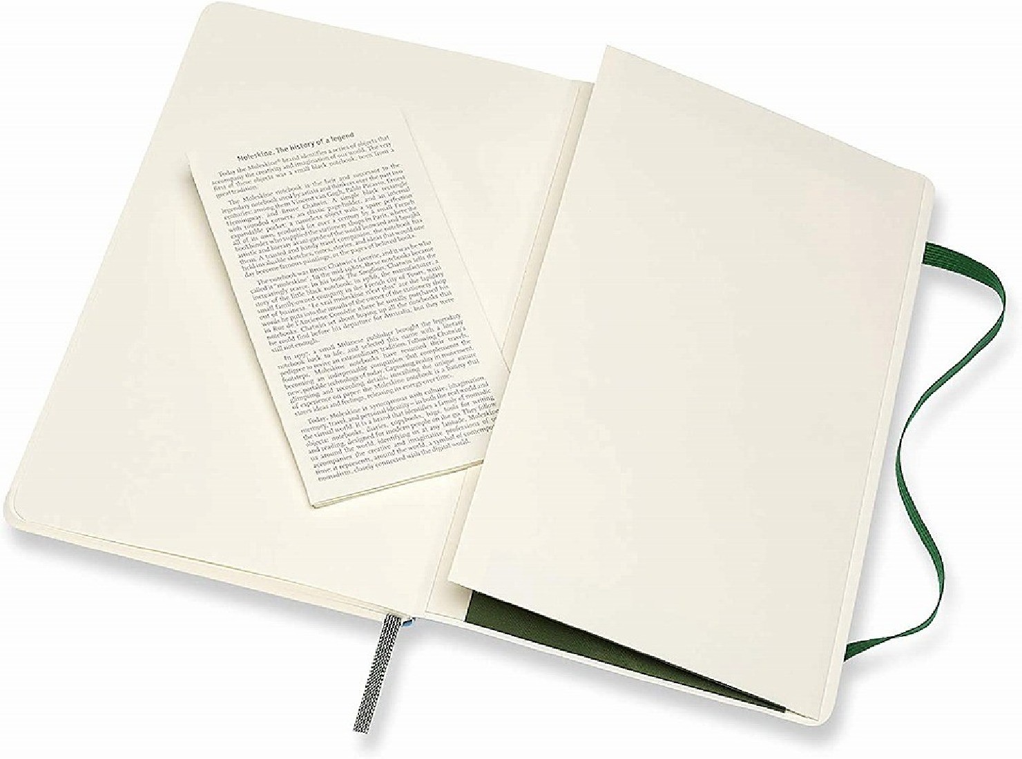 Notebook Large 13x21 Plain Myrtle Green Soft Cover Moleskine