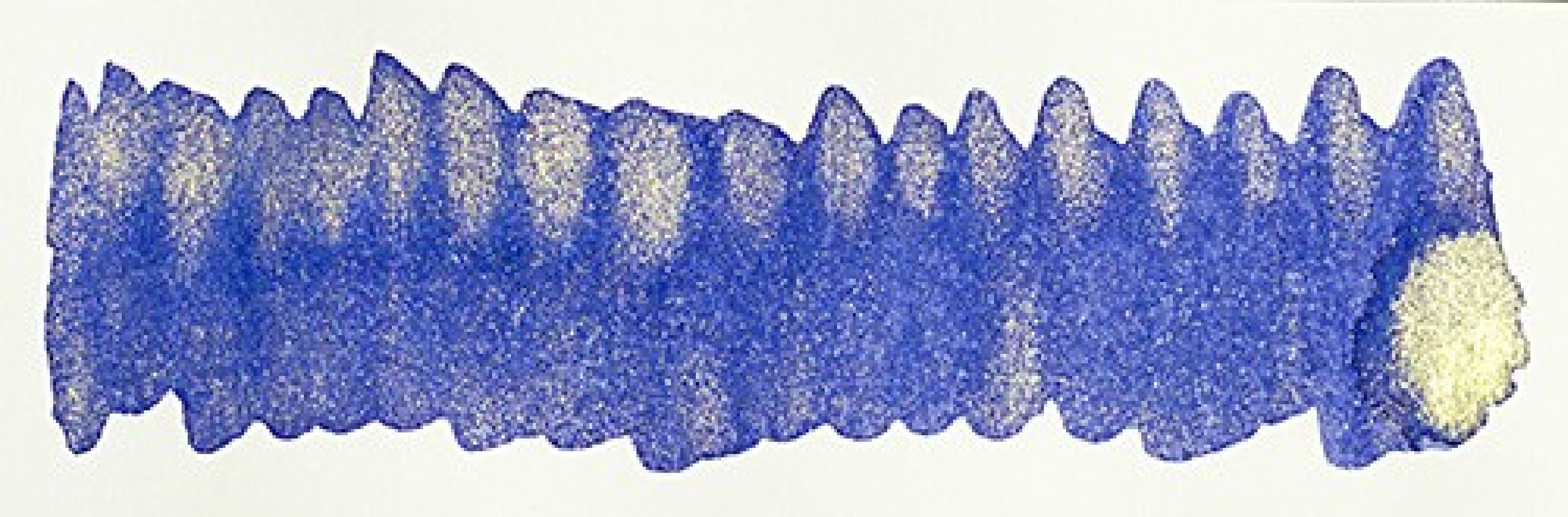 Diamine 50ml Blue Flame Fountain pen shimmer ink bottle