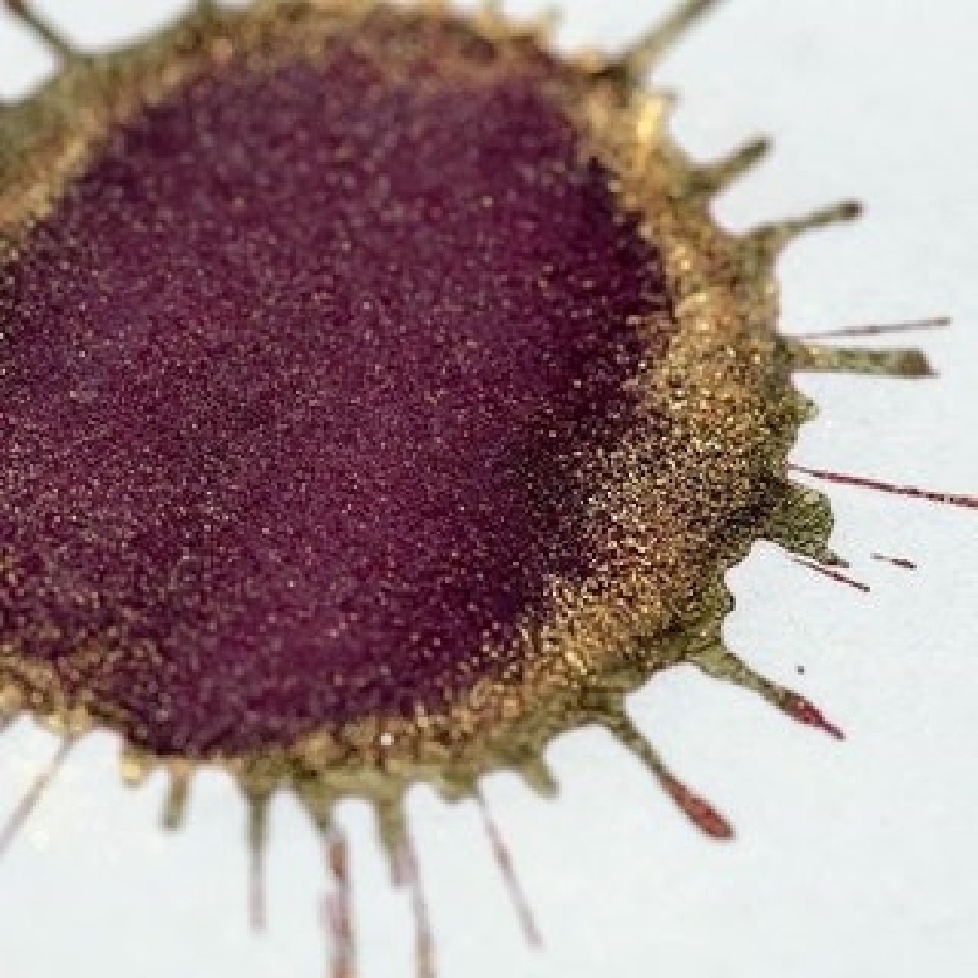 Diamine 50ml Wine Divine Fountain pen shimmer ink