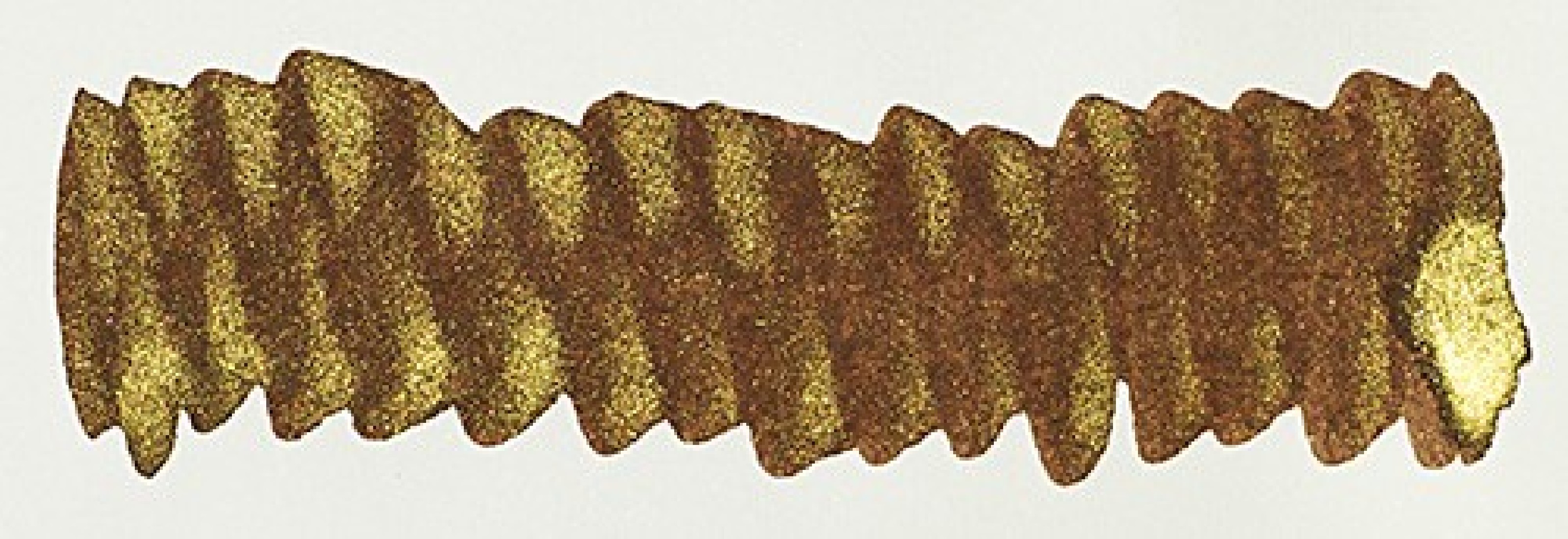 Diamine 50ml Cocoa Shimmer Fountain pen shimmer ink bottle