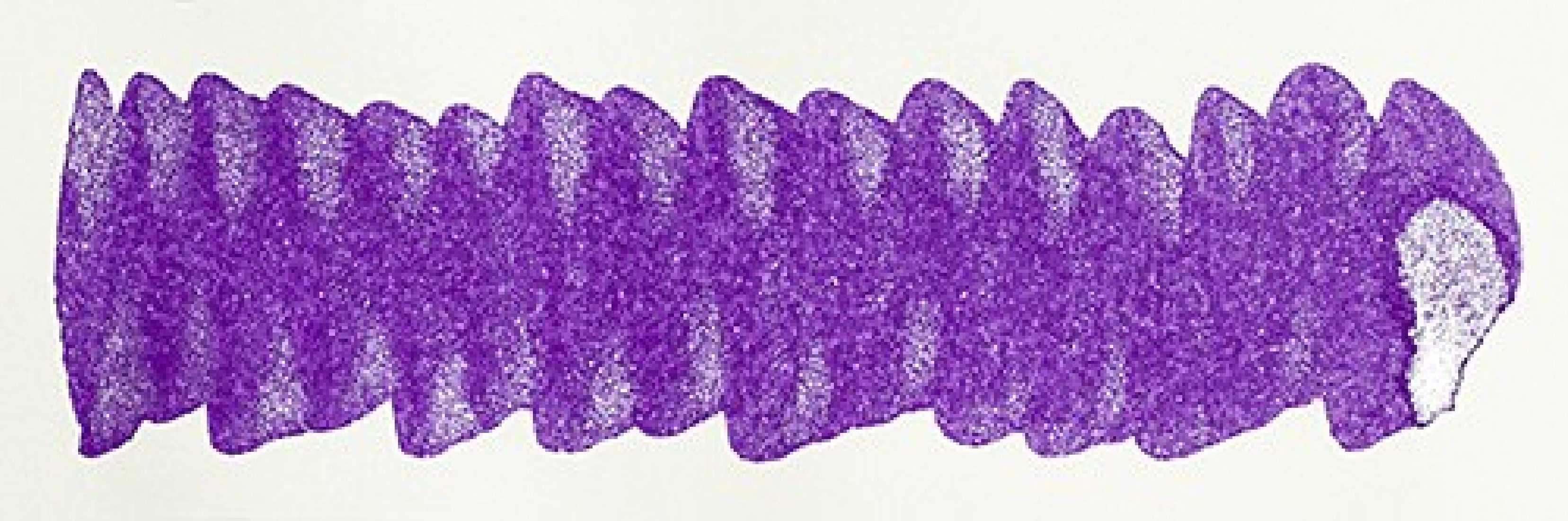 Diamine 50ml Lilac Satin Fountain pen shimmer ink bottle