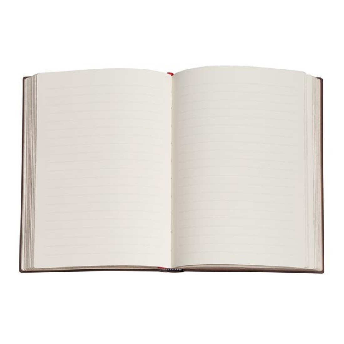 Paperblanks Notebook The Chanin Rise Mini 10x14 .