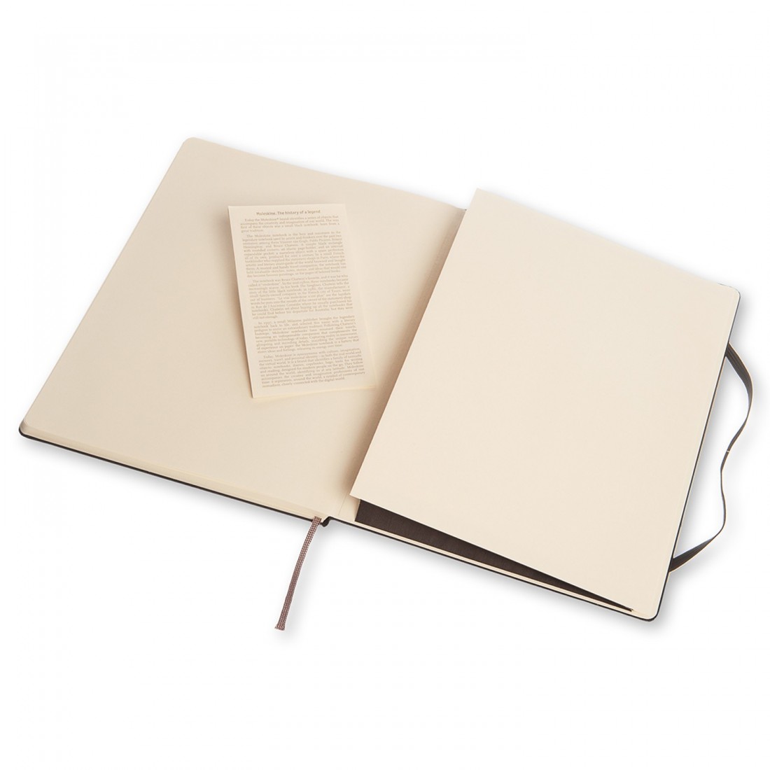 Notebook Extra Large 19x25 Dotted Black Hard Cover  Moleskine
